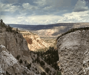 The Diversity in Water