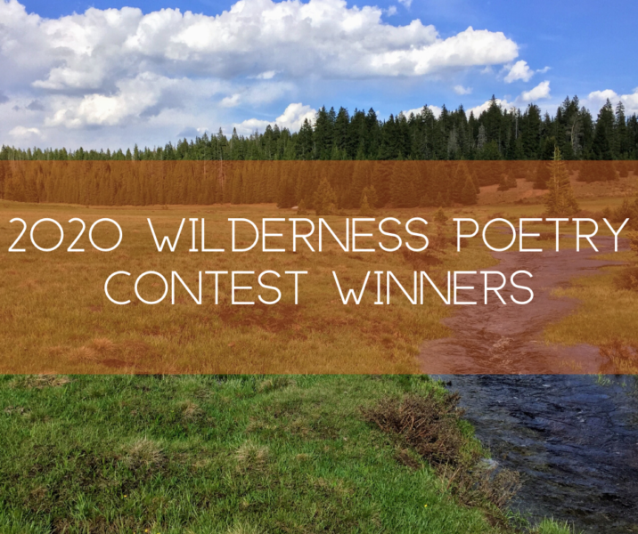 2020 Wilderness Poetry Contest: the cliff, by Tony Reevy