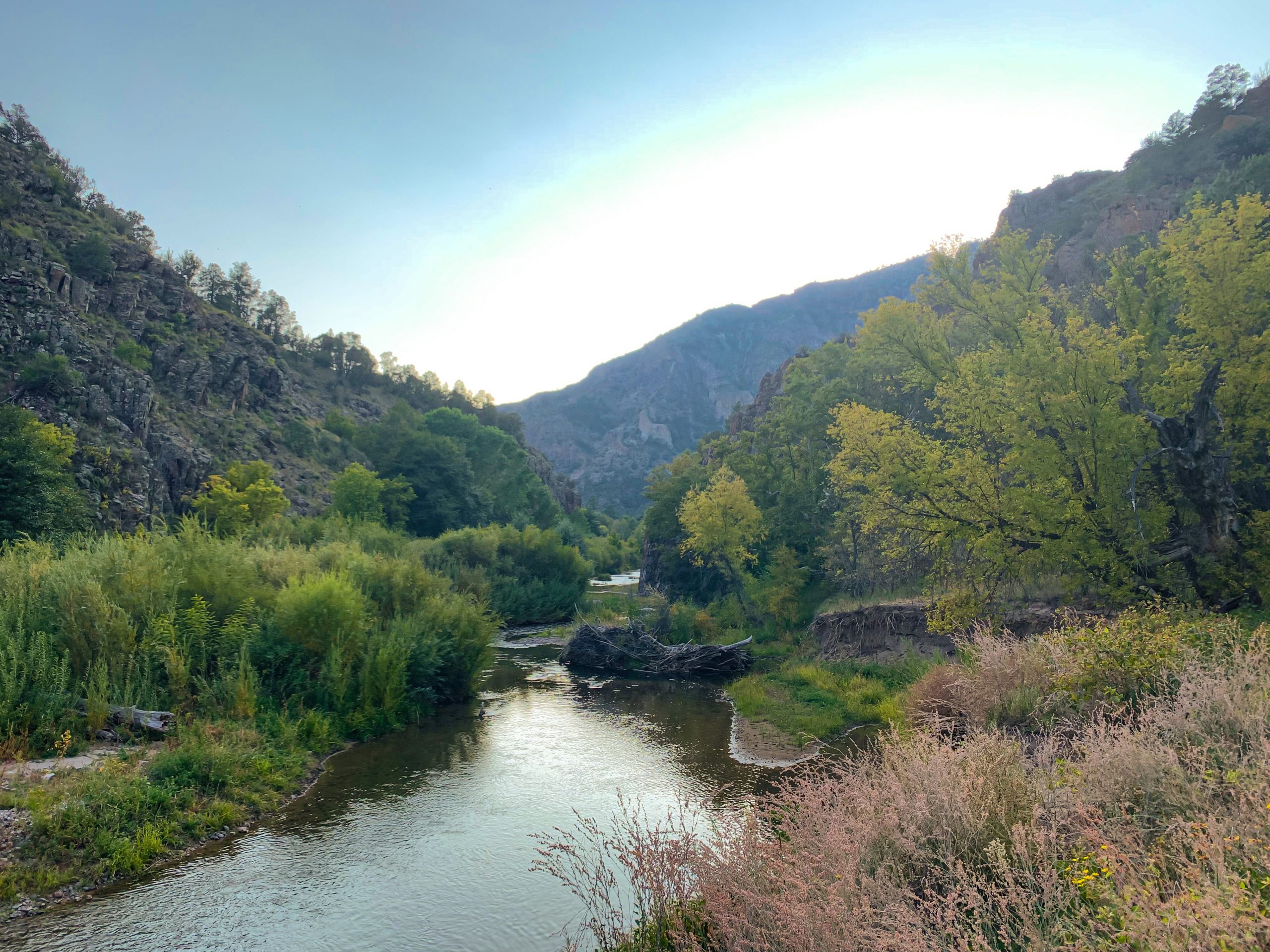 PRESS RELEASE: Legislation to Protect the Gila and San Francisco Rivers Takes Important Step Forward with Senate Hearing