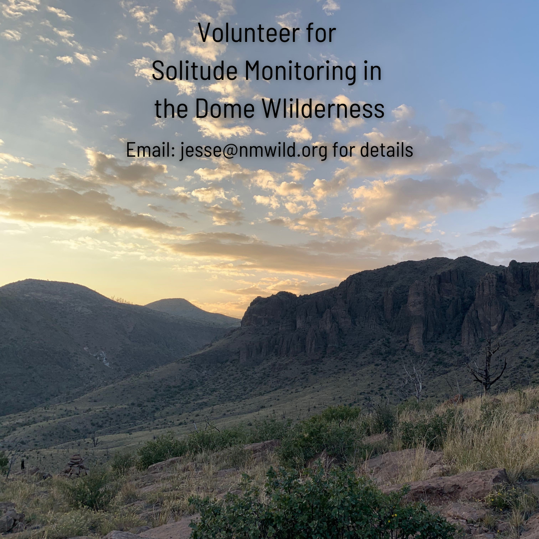 Solitude Monitoring in Dome Wilderness