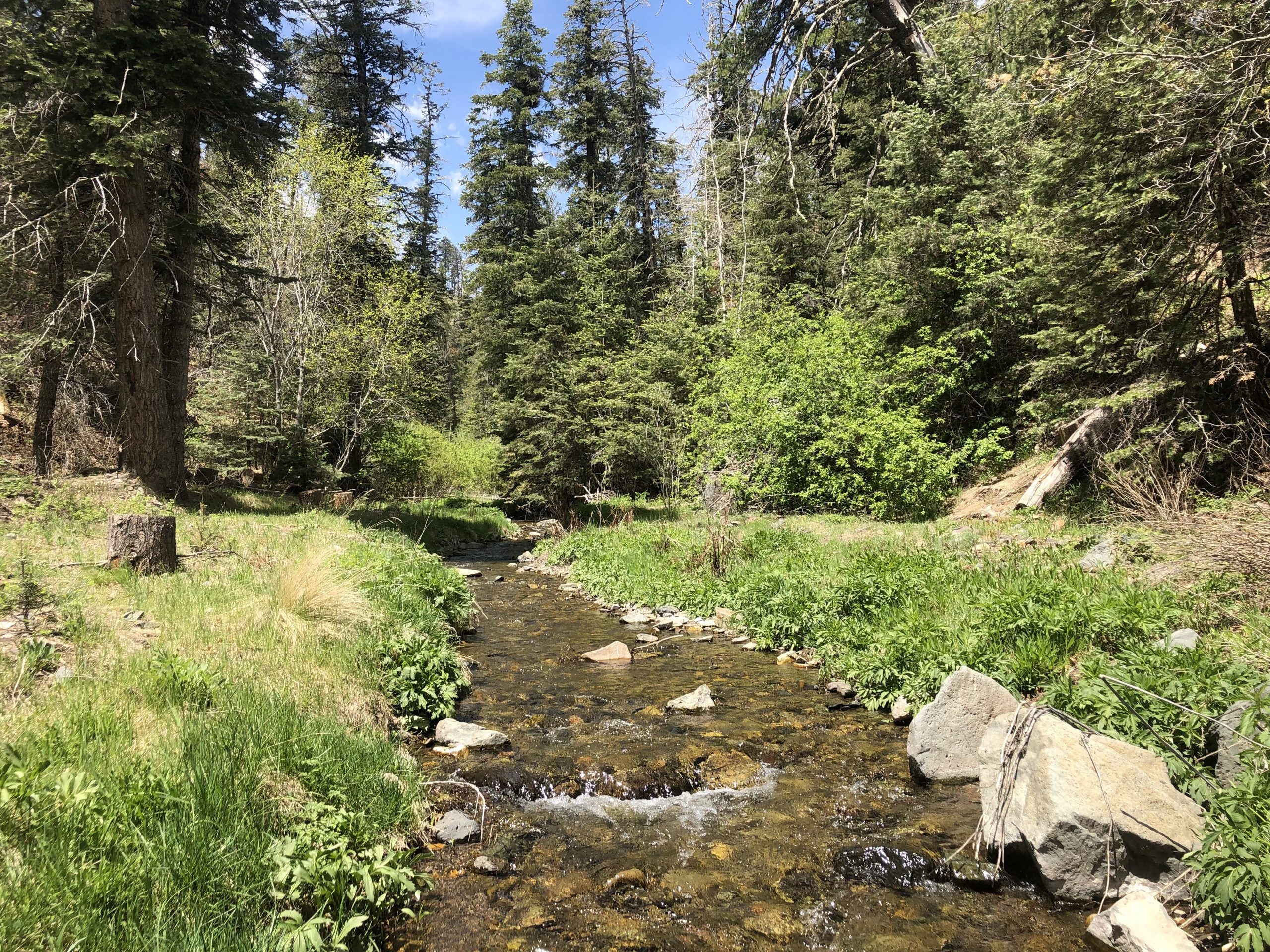 Environment agencies seek funds to boost climate programs, fill jobs