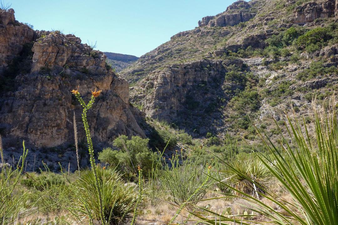 Funding for regulatory agencies a necessity