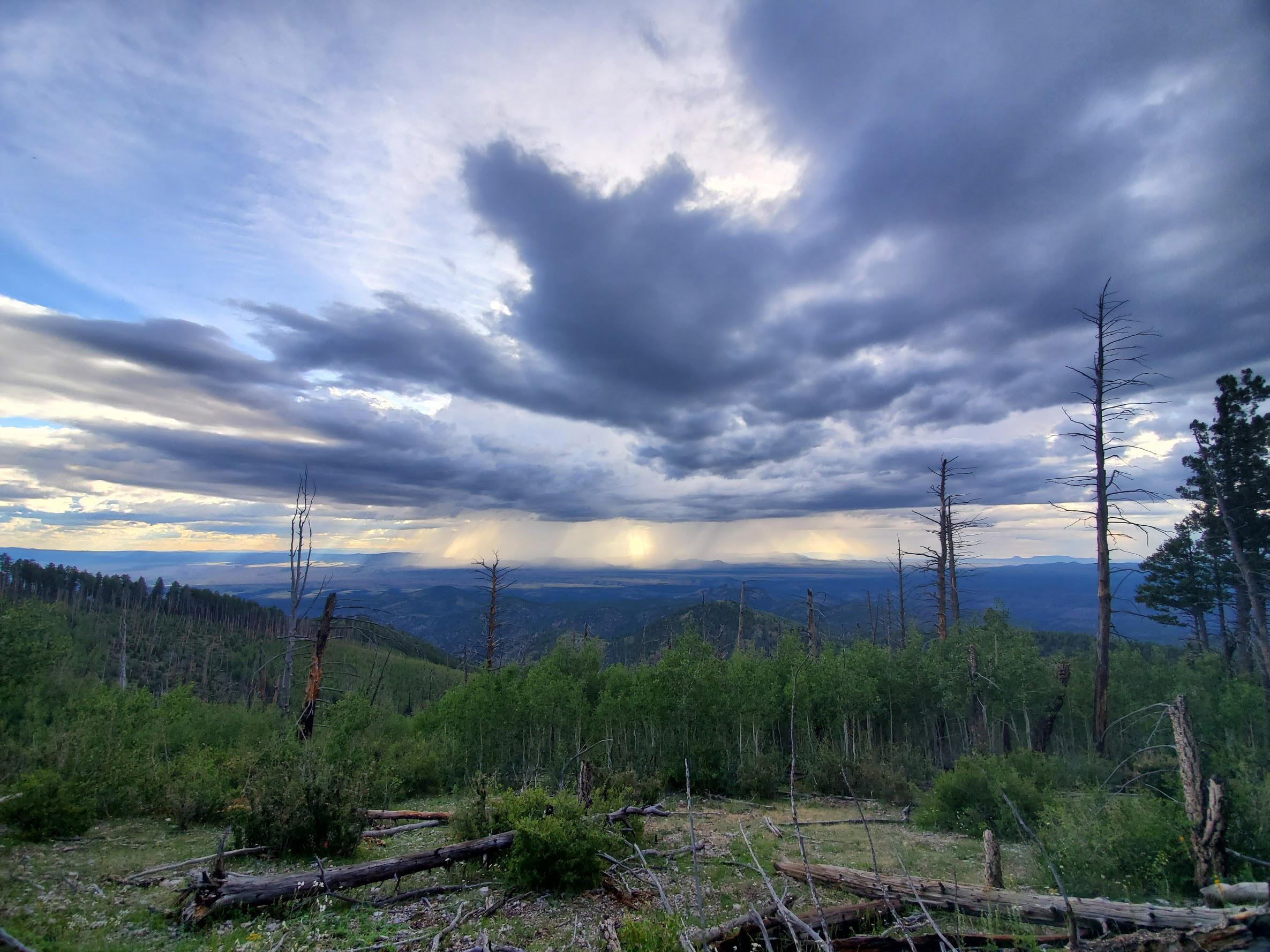Solitude Monitoring in Apache Kid, Withington, and Manzano Mountain Wilderness Areas