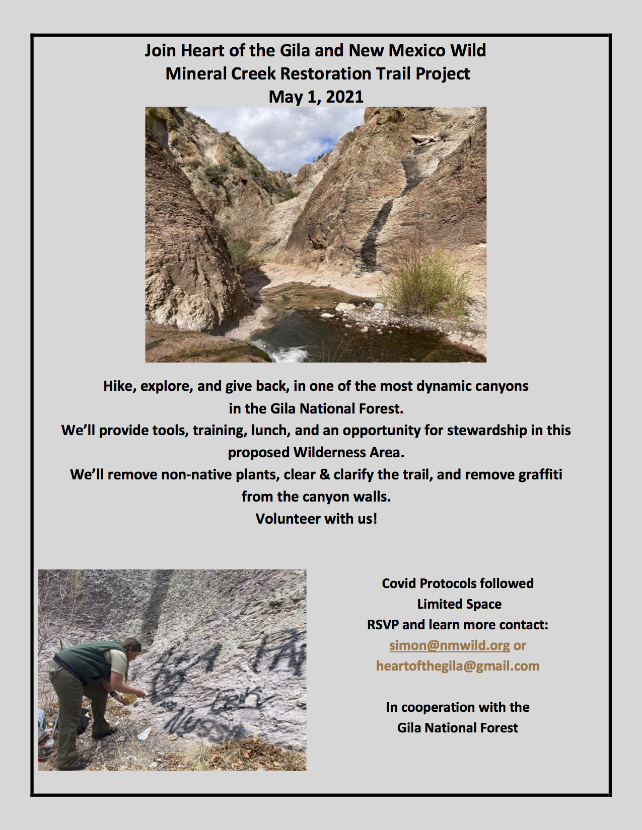 Mineral Creek Trail Restoration Project