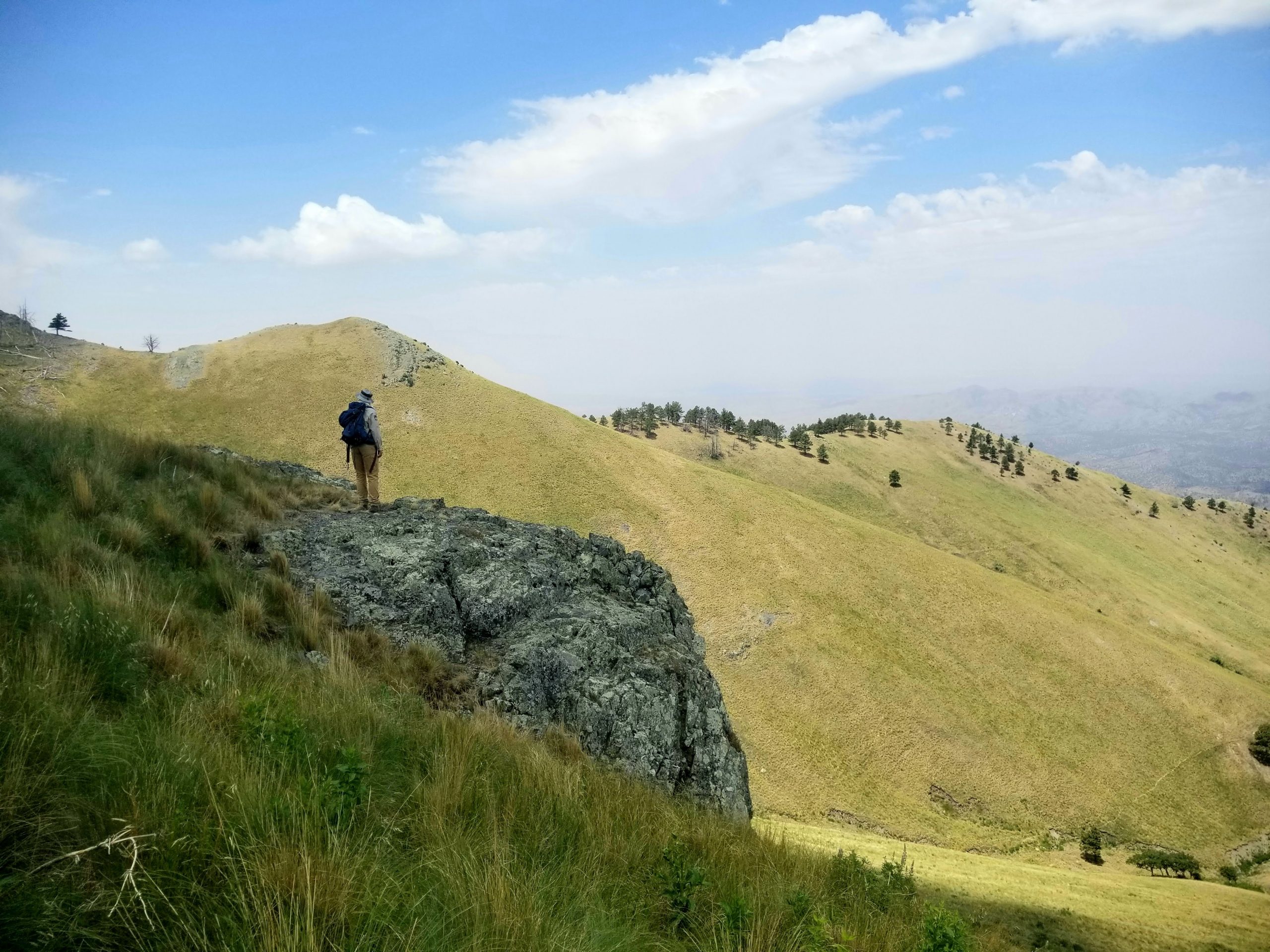 White Mountain Crest Cruise