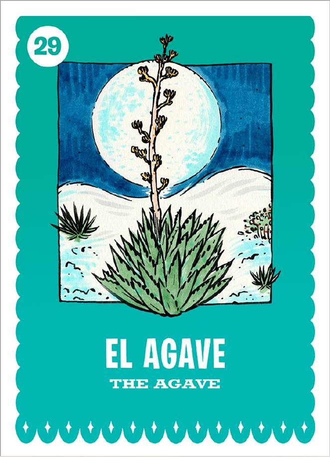 Latino Conservation Week: Family Hike with Friends of Organ Mountains-Desert Peaks