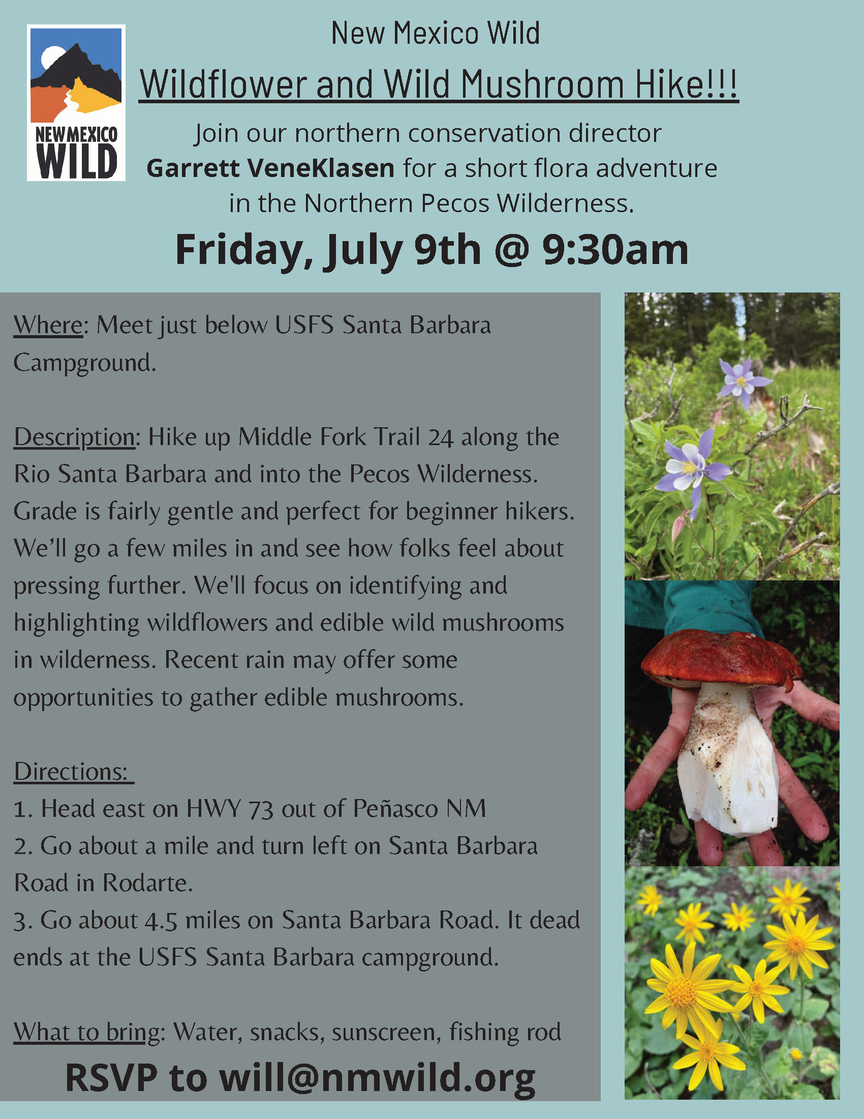 Hike With New Mexico Wild in the Pecos Wilderness