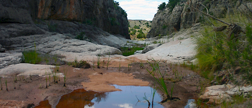 New Mexico Wild Annual Meeting and Board Reunion