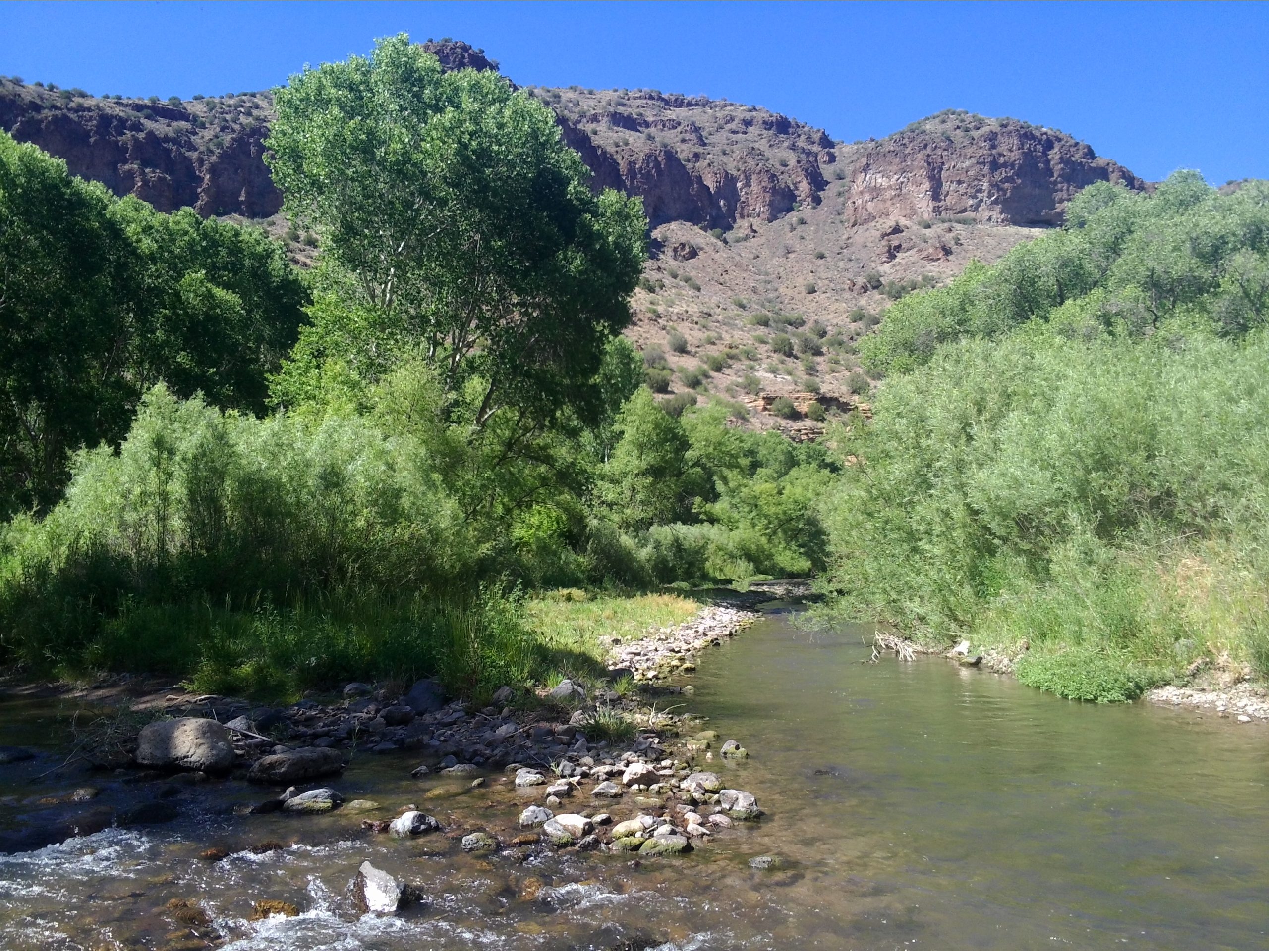 Lower San Francisco River WSA Signage and River Protection Project