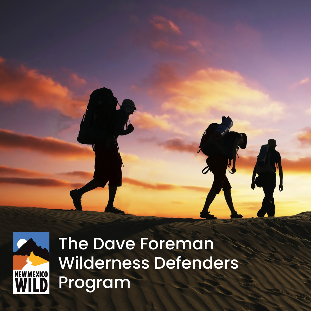 Wilderness Defender Field Training – Albuquerque Office