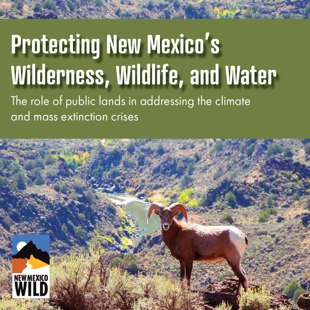 Webinar Event: New study reveals relationship between public lands and the climate and mass extinction crises