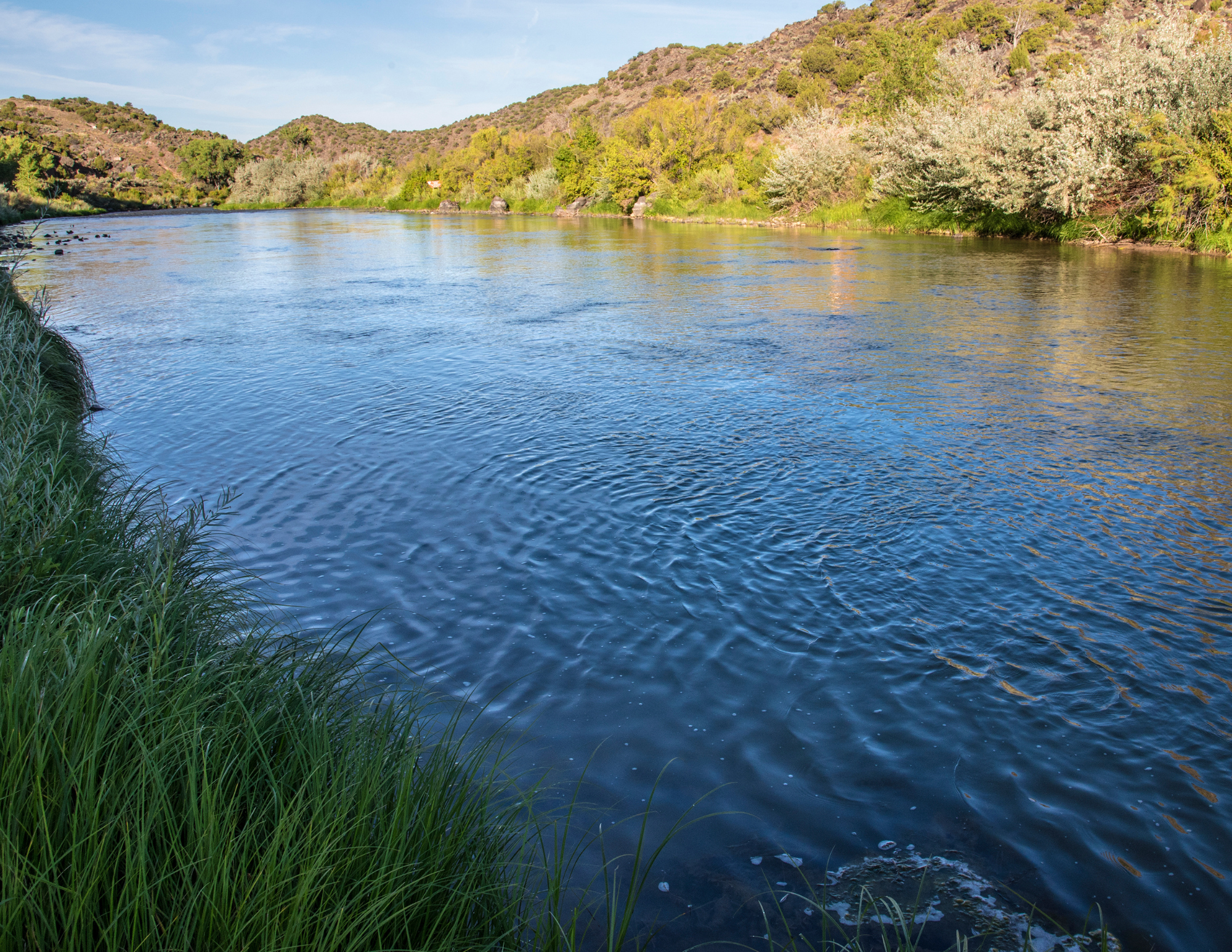 Bill to protect and restore clean water protections, safeguard drinking water passes second committee 
