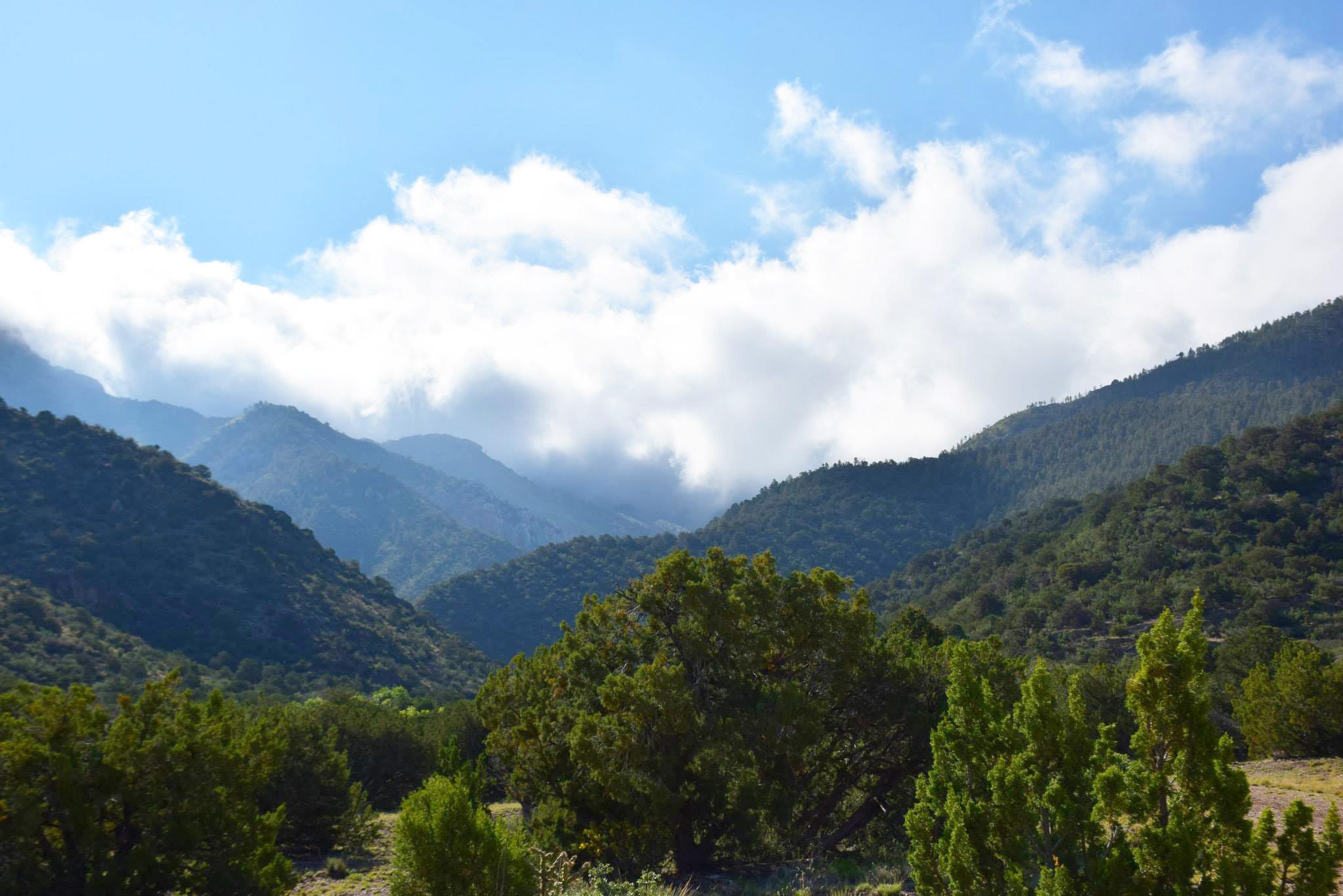 Trail Clearing in the Manzano Mountain Wilderness