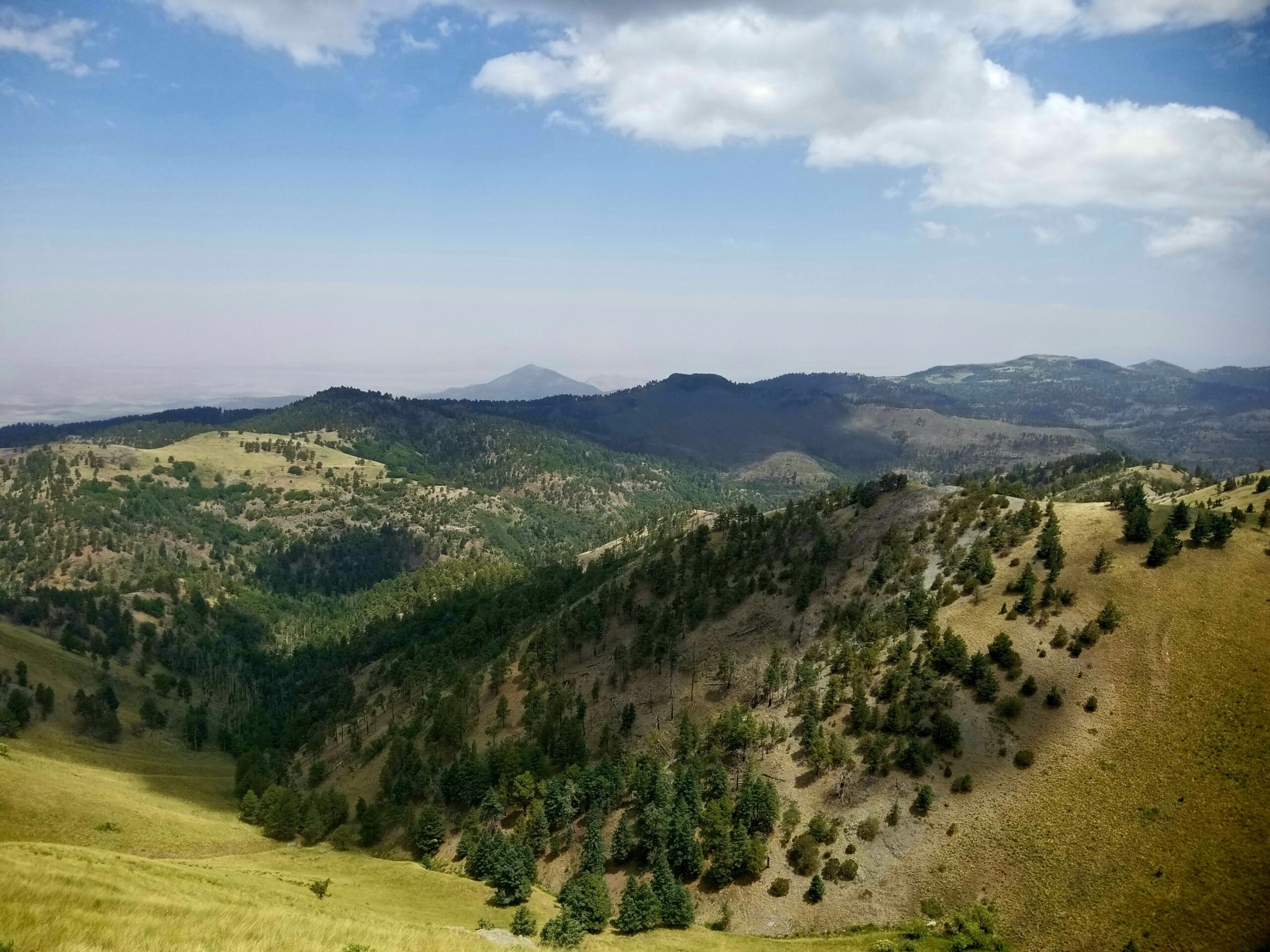 White Mountain Wilderness – Portal Sign Project (Day Project)