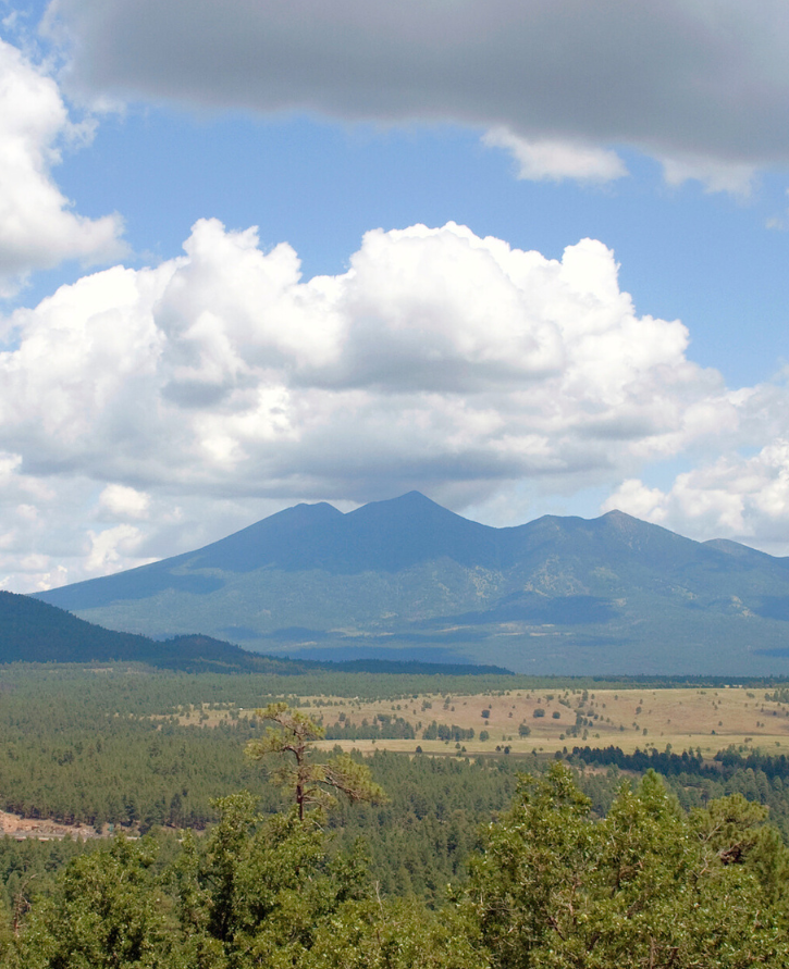 Mexican Gray Wolves Near Flagstaff: A Missed Opportunity for Natural Recovery