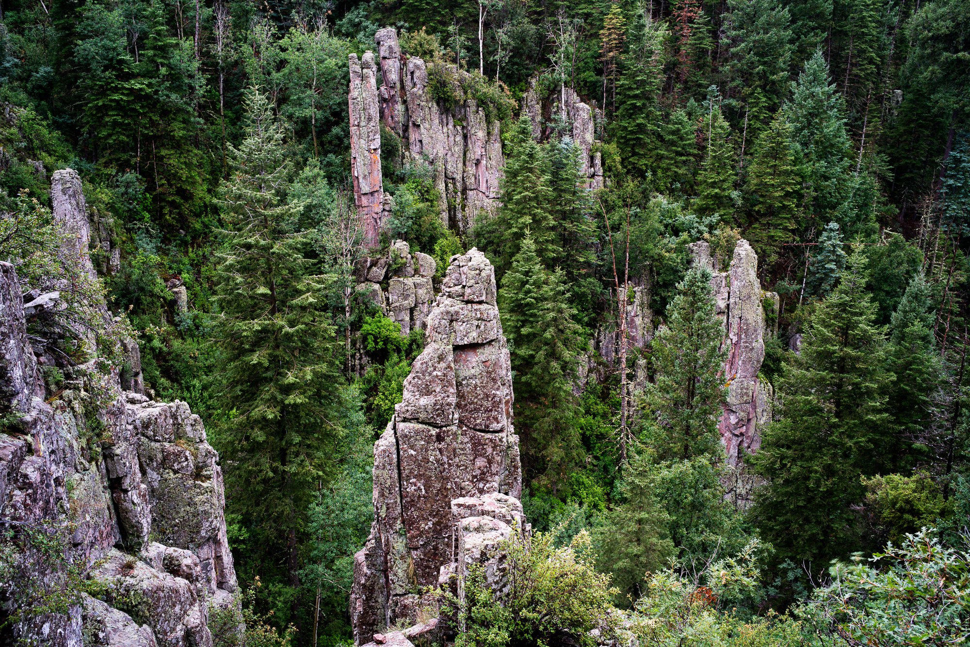 East Fork Mimbres River flowing through McKnight Canyon