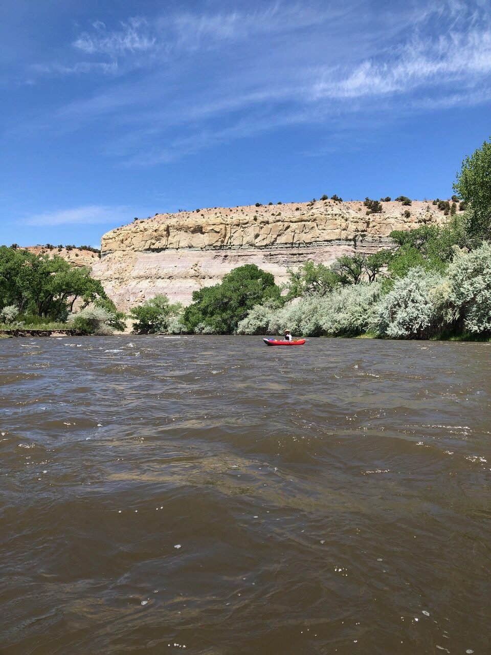 Animas River flowing through New Mexico