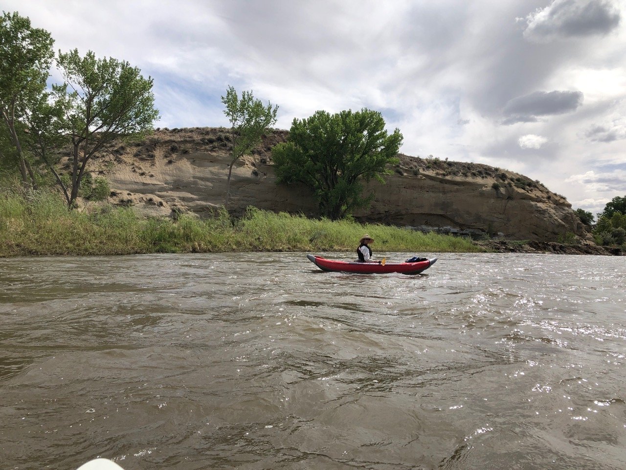 Animas River
