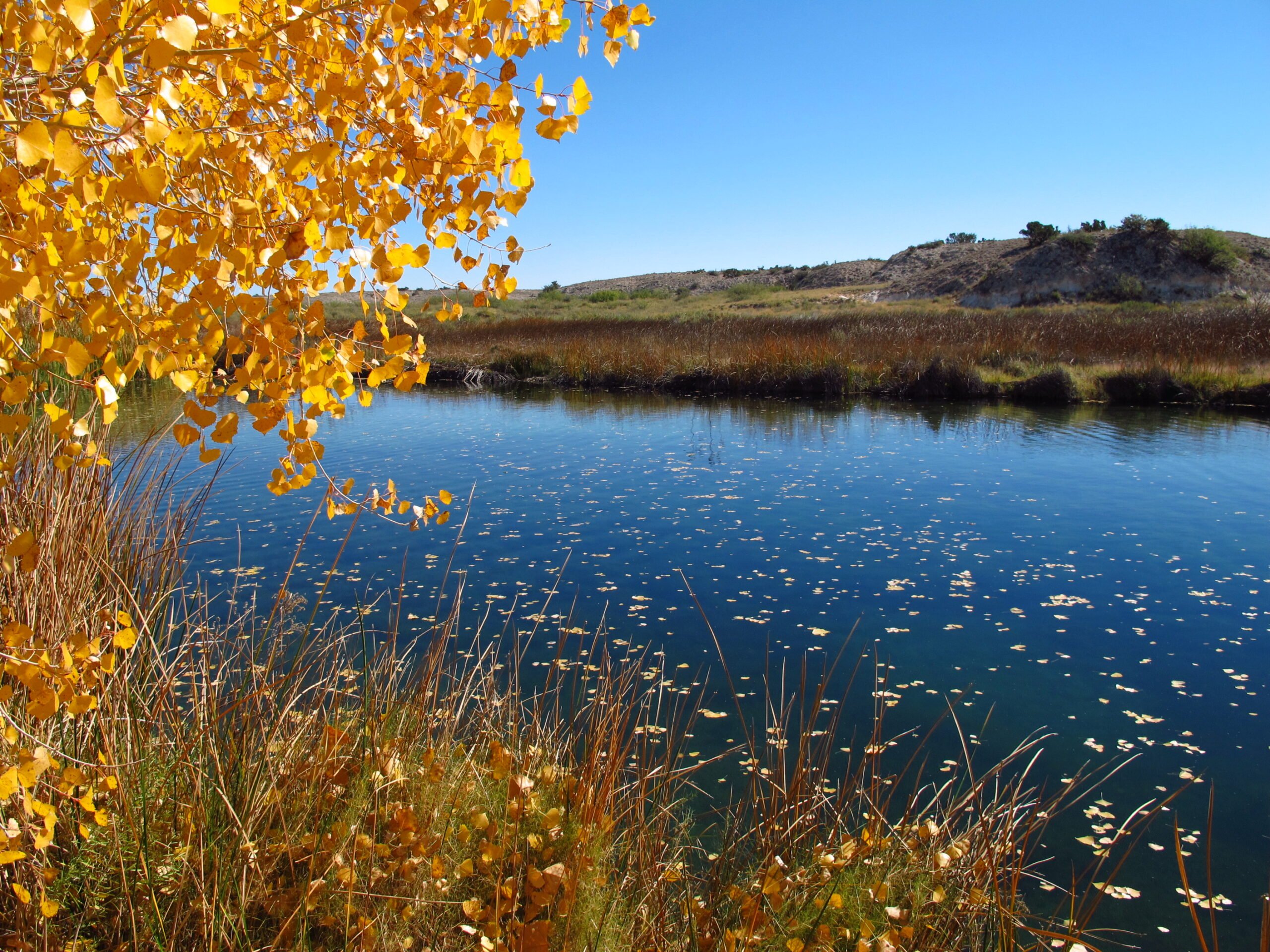 Delaware River in Chihuahuan Desert