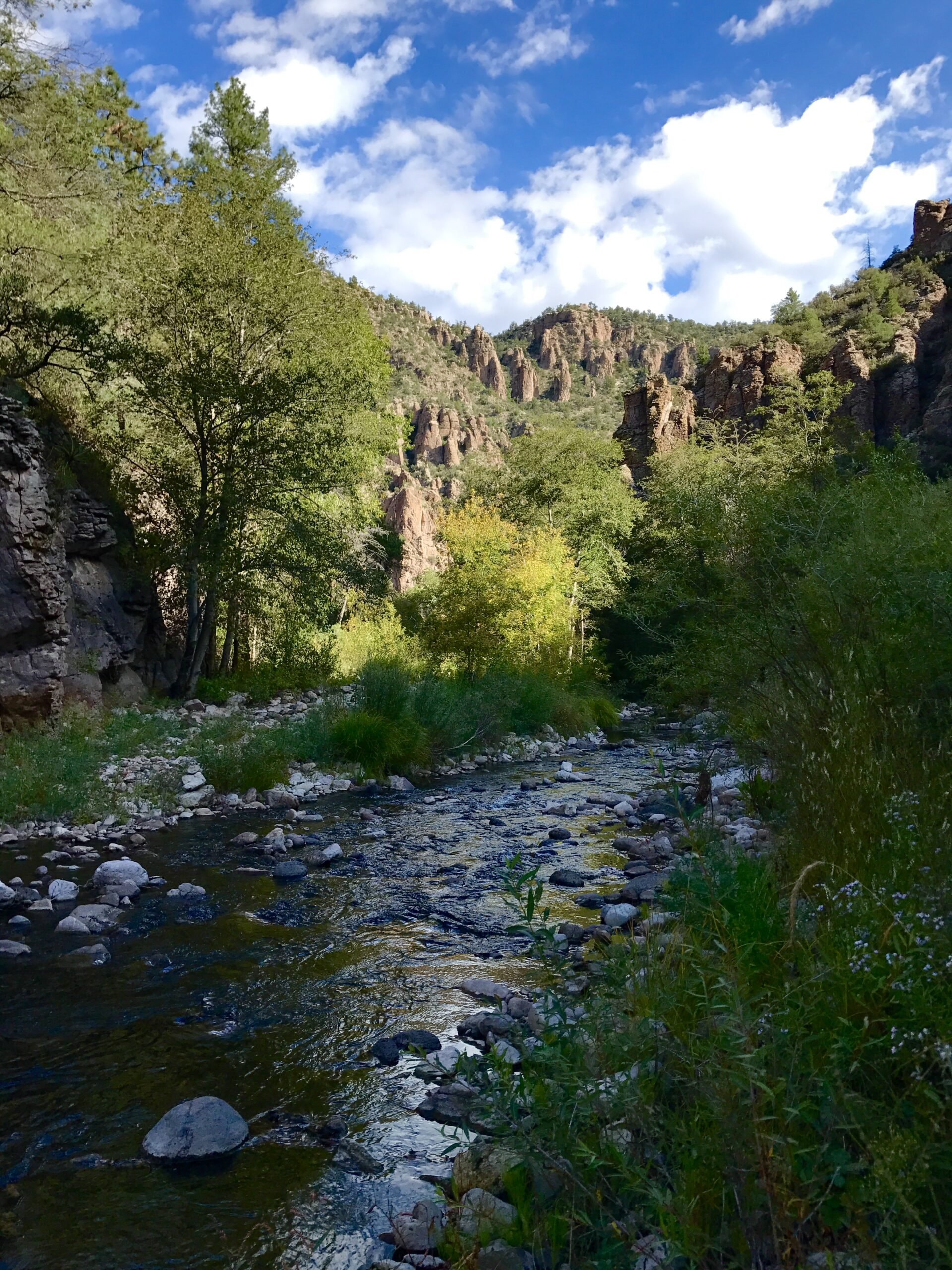 Volcanic cliffs and spires along the West Fork Gila River