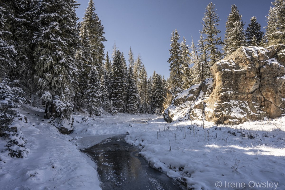 East Fork Jemez River in Valles Caldera