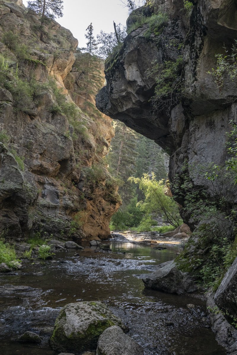 Valles Caldera with East Fork Jemez headwaters