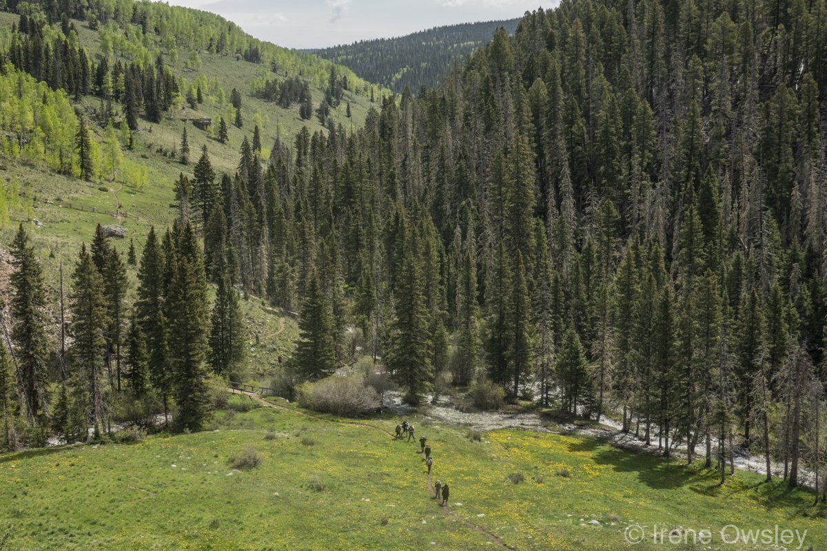 Press Statement: New Mexico Wild Sounds Alarm on Dangerous Public Lands Sell-Off Plan in Congress