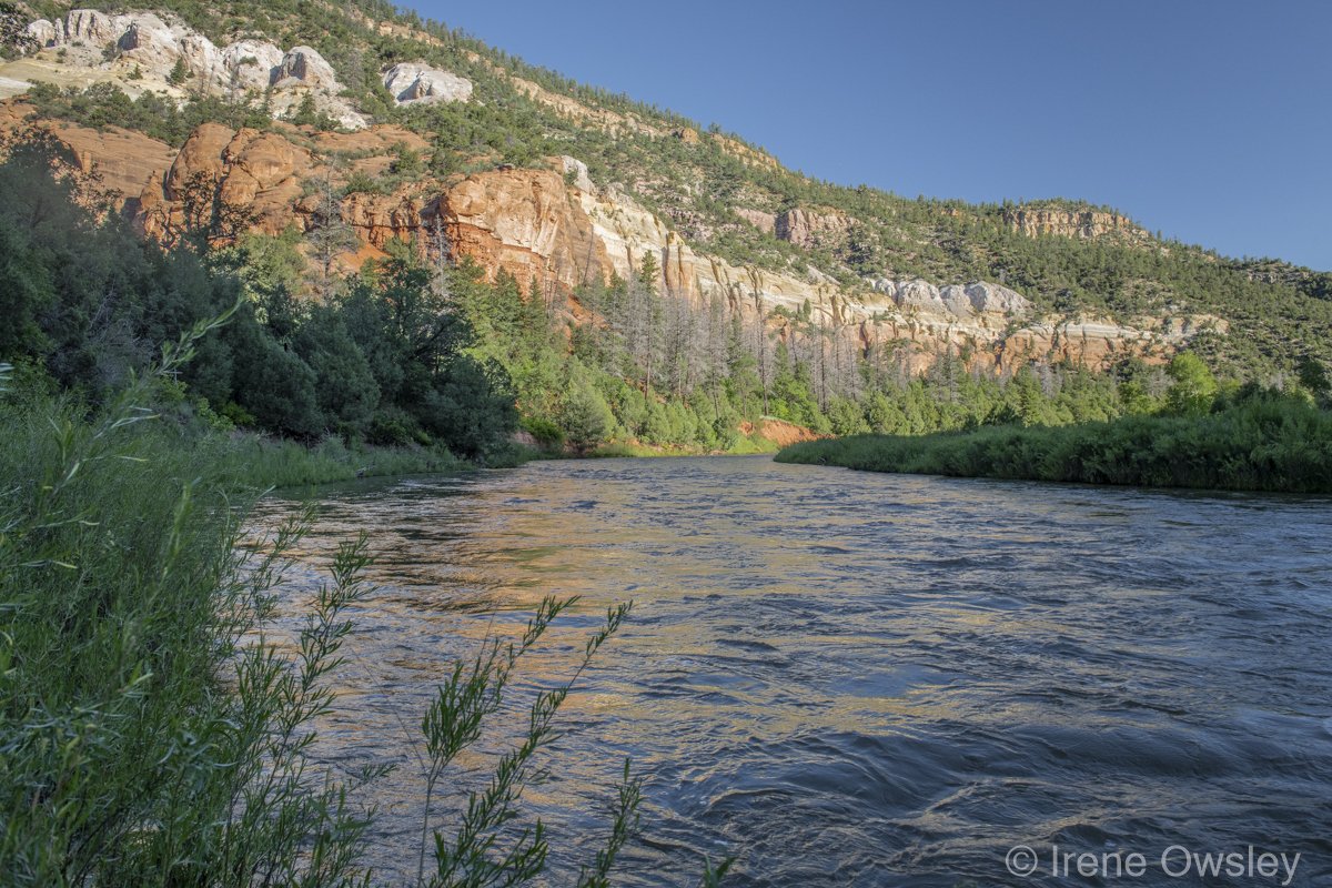 Rio Chama Wild and Scenic River