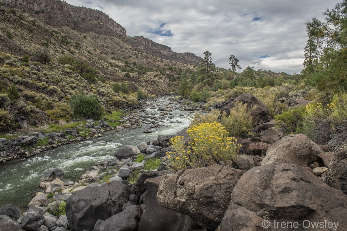 Rio Grande flowing through the La Junta section of Rio Grande del Norte National Monument
