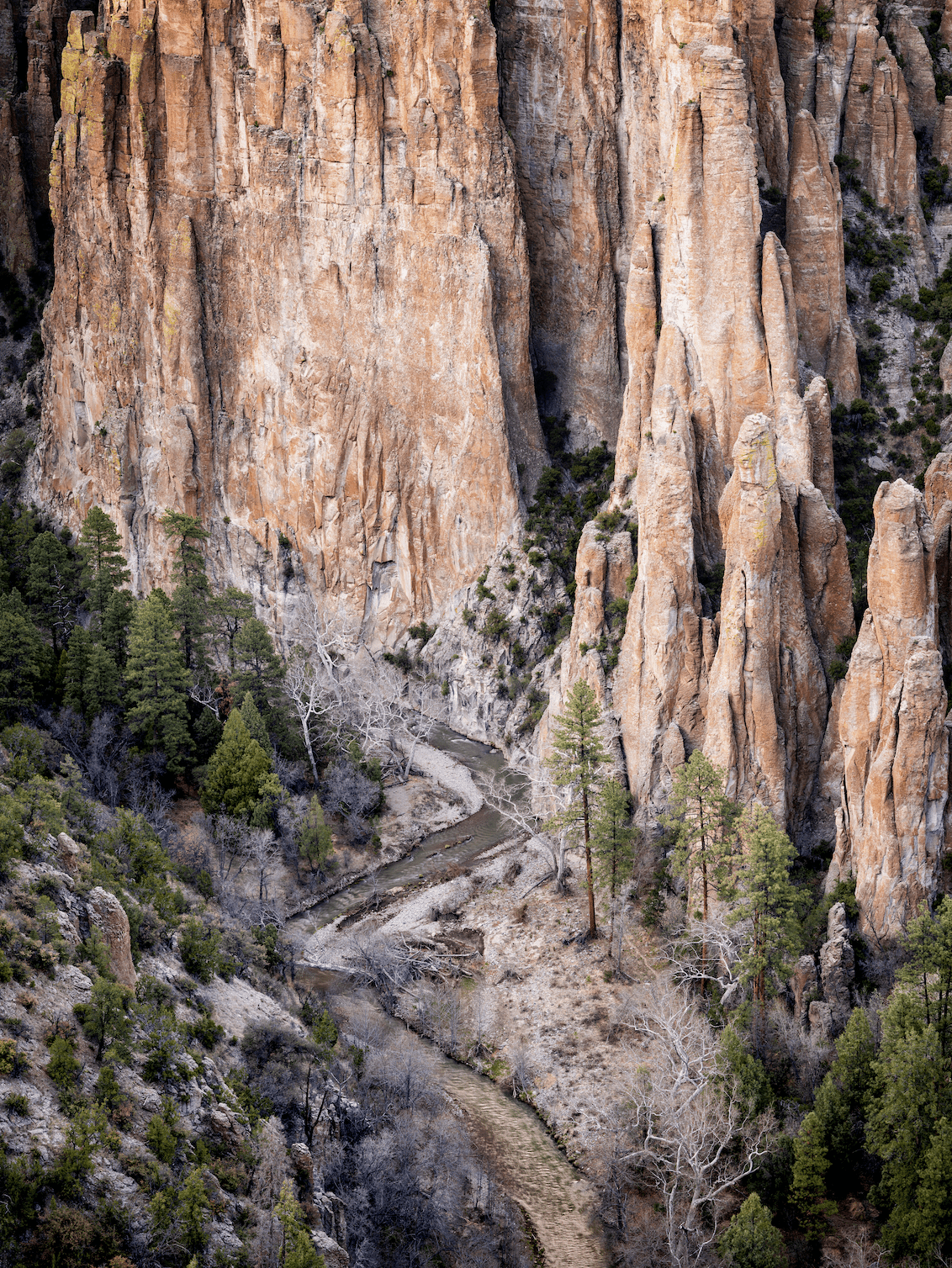 Volcanic formations along the Middle Fork Gila River