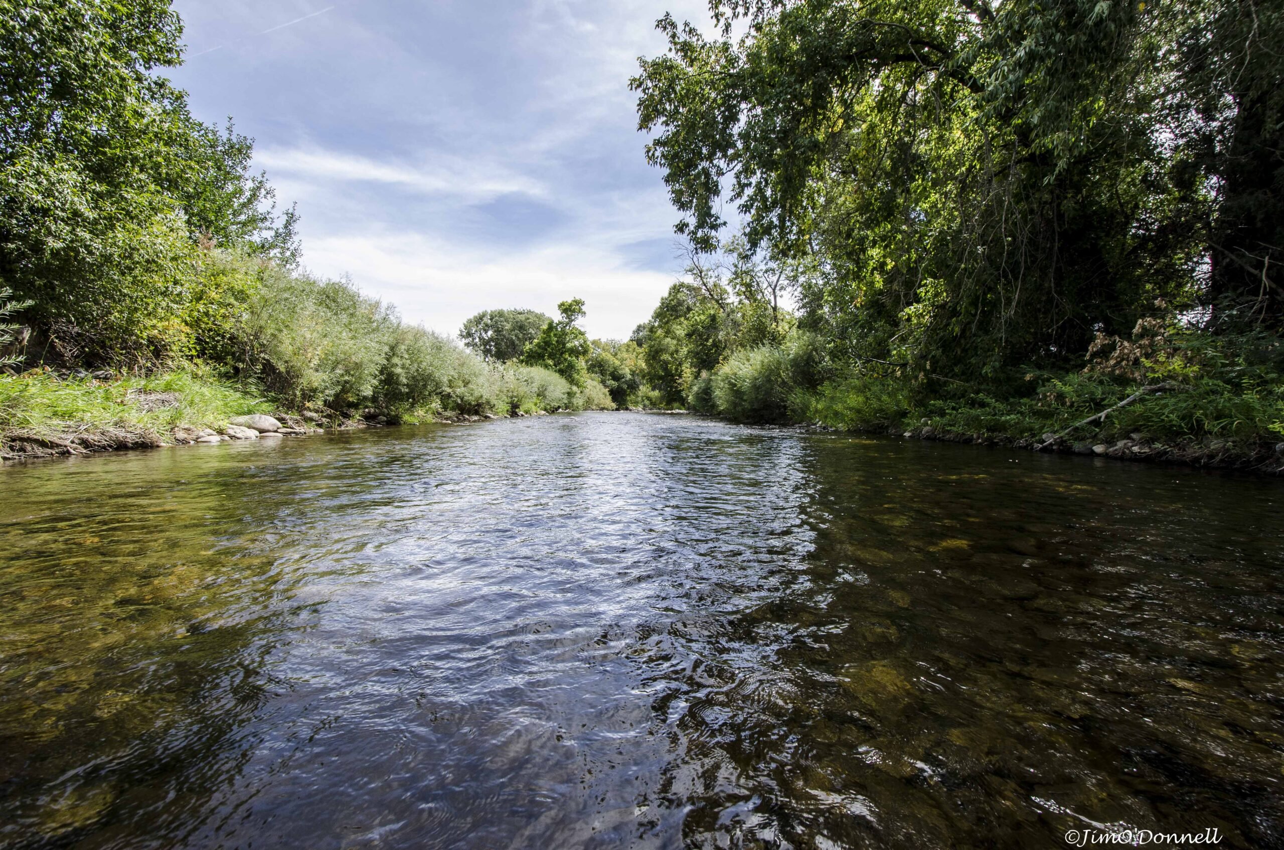 Pecos River flowing through wilderness