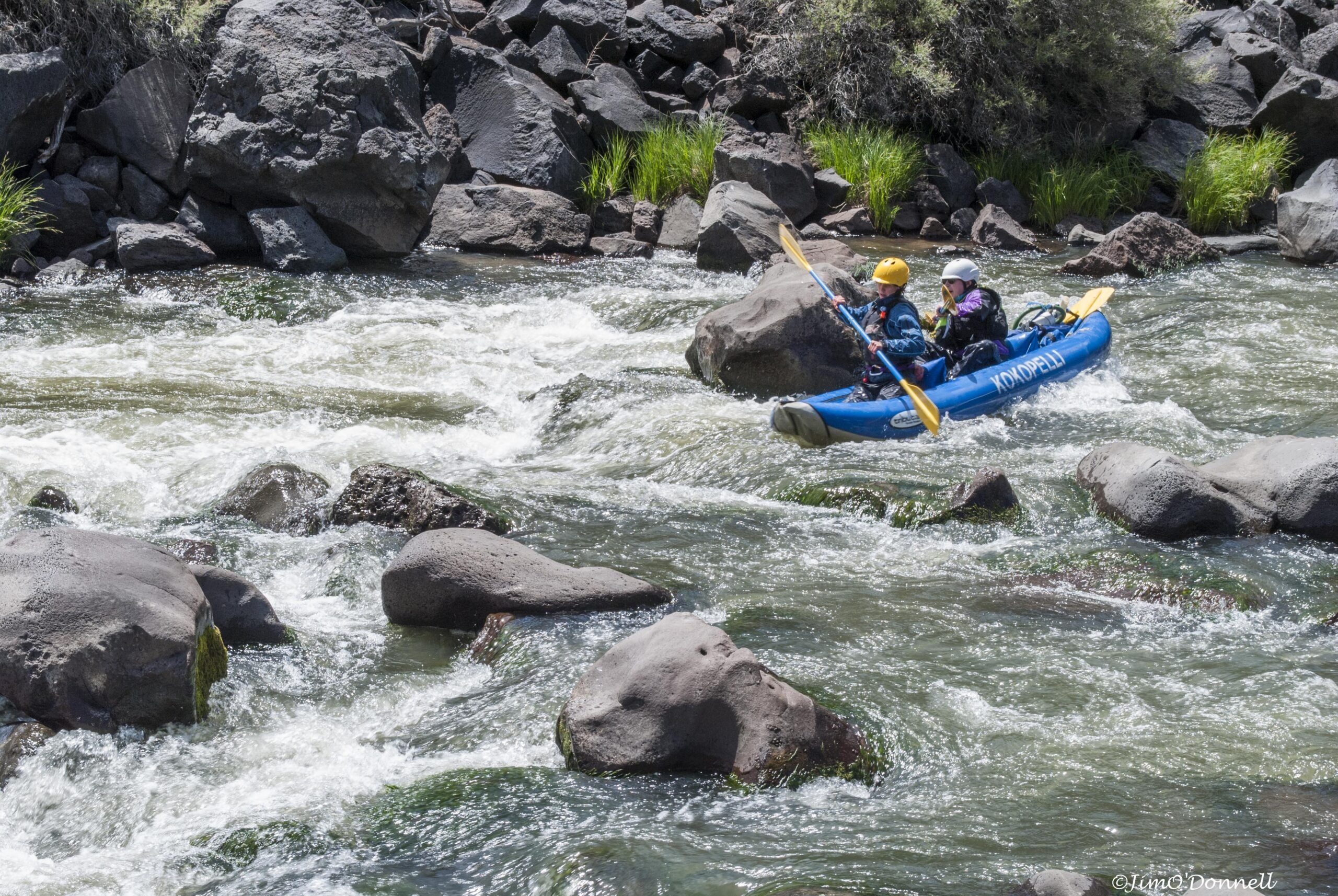 Wildlife and distant mountain views from the Rio Grande Ute Mountain section