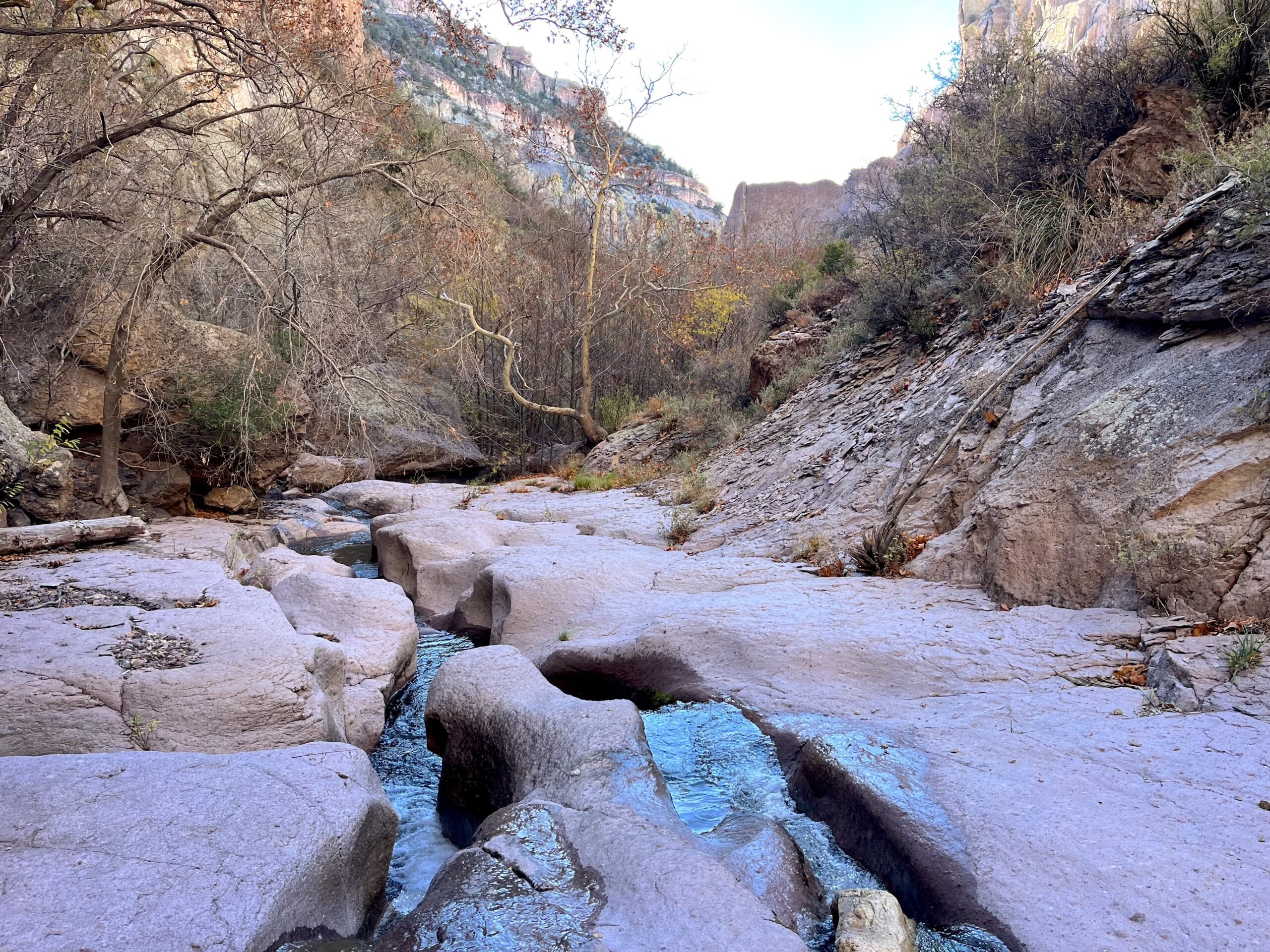 Mineral Creek flowing through dramatic canyon