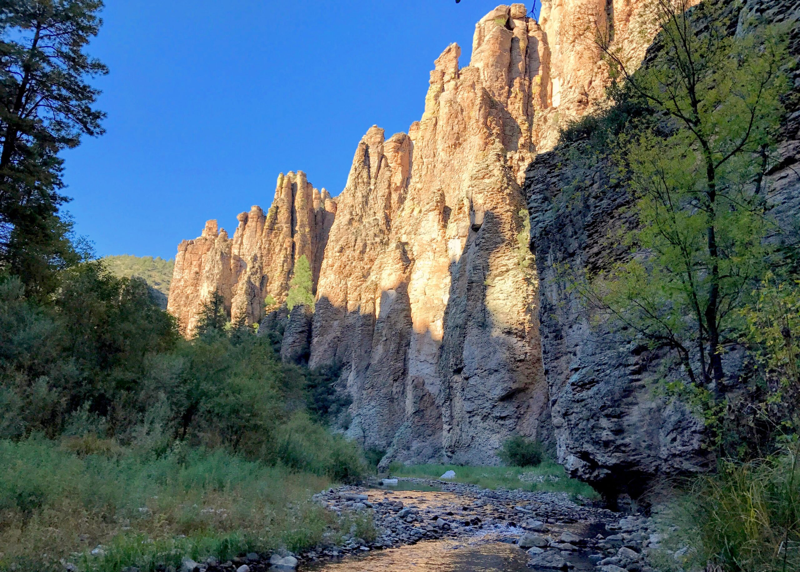 West Fork Gila River flowing through volcanic canyon