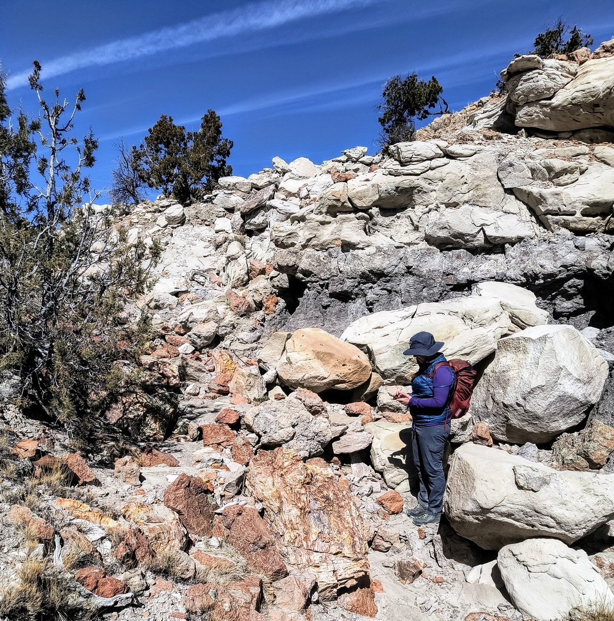 Exploring the San Juan Basin Badlands