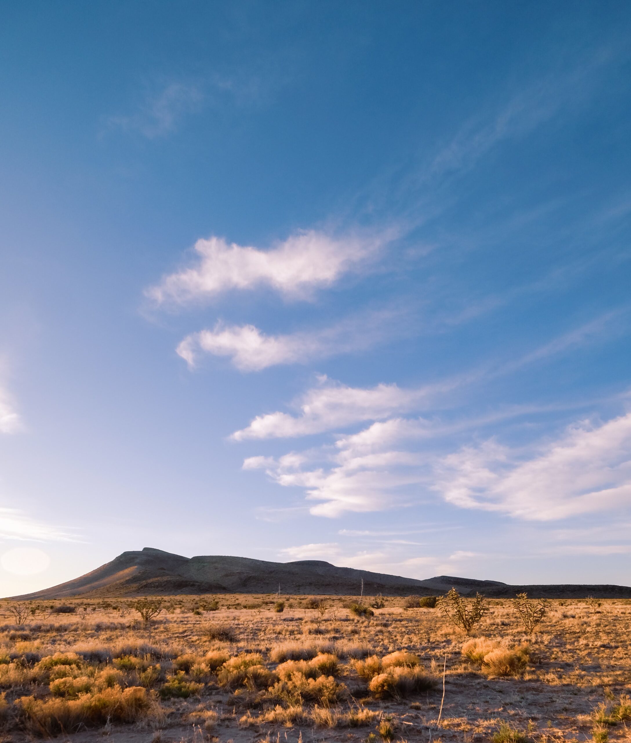 PRESS STATEMENT: New Mexico Wild Statement on Removal of Public Lands Sell-off Amendment from House Budget Bill