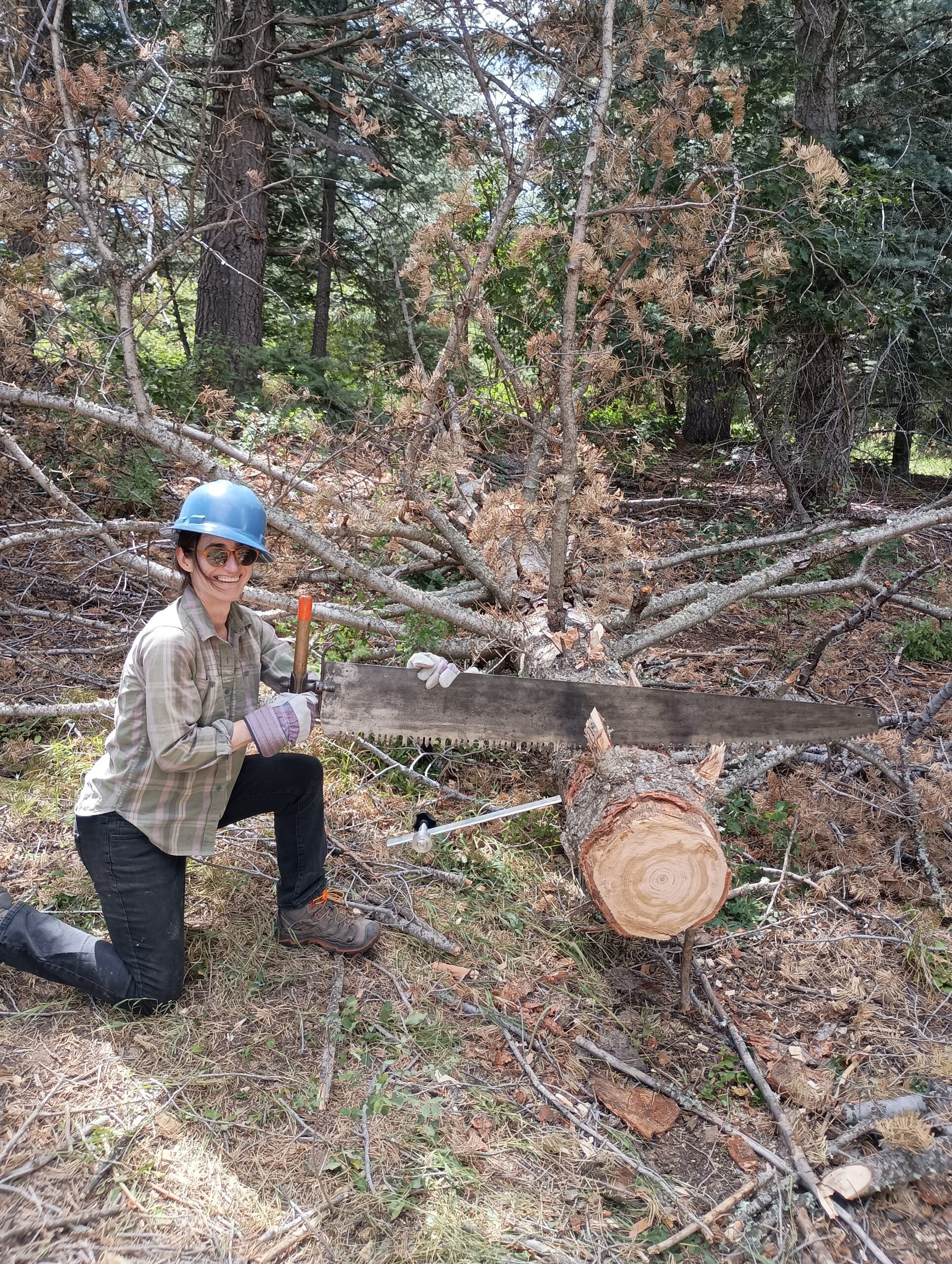 (Registration Full) Rociada Trail Maintenance in the Pecos Wilderness