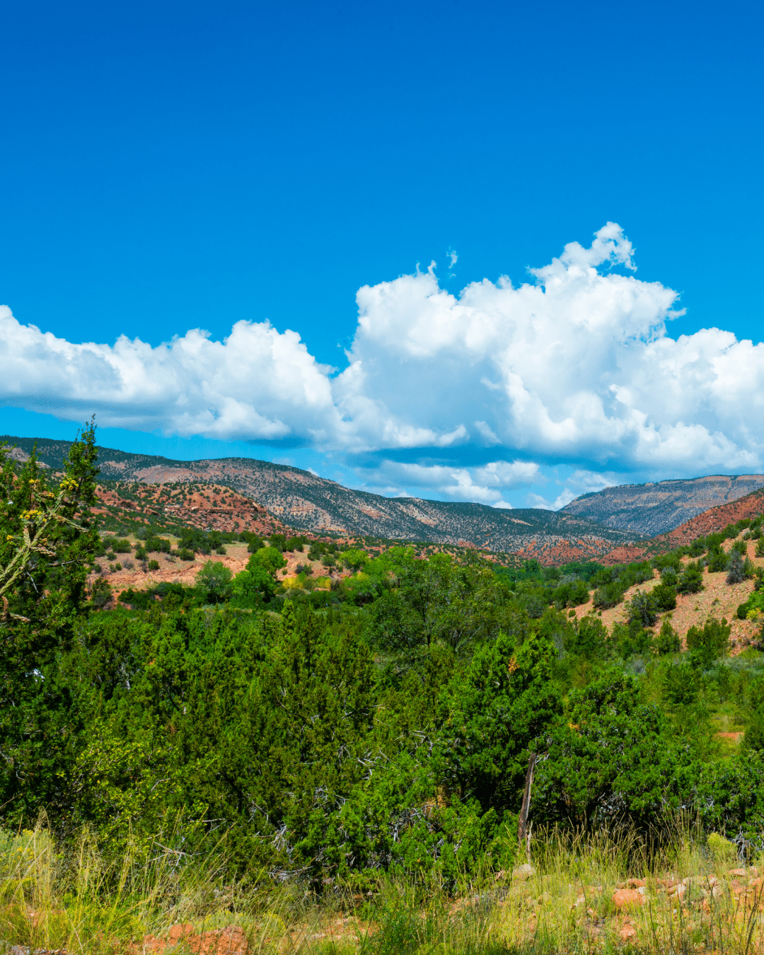 Jemez Trash Cleanup