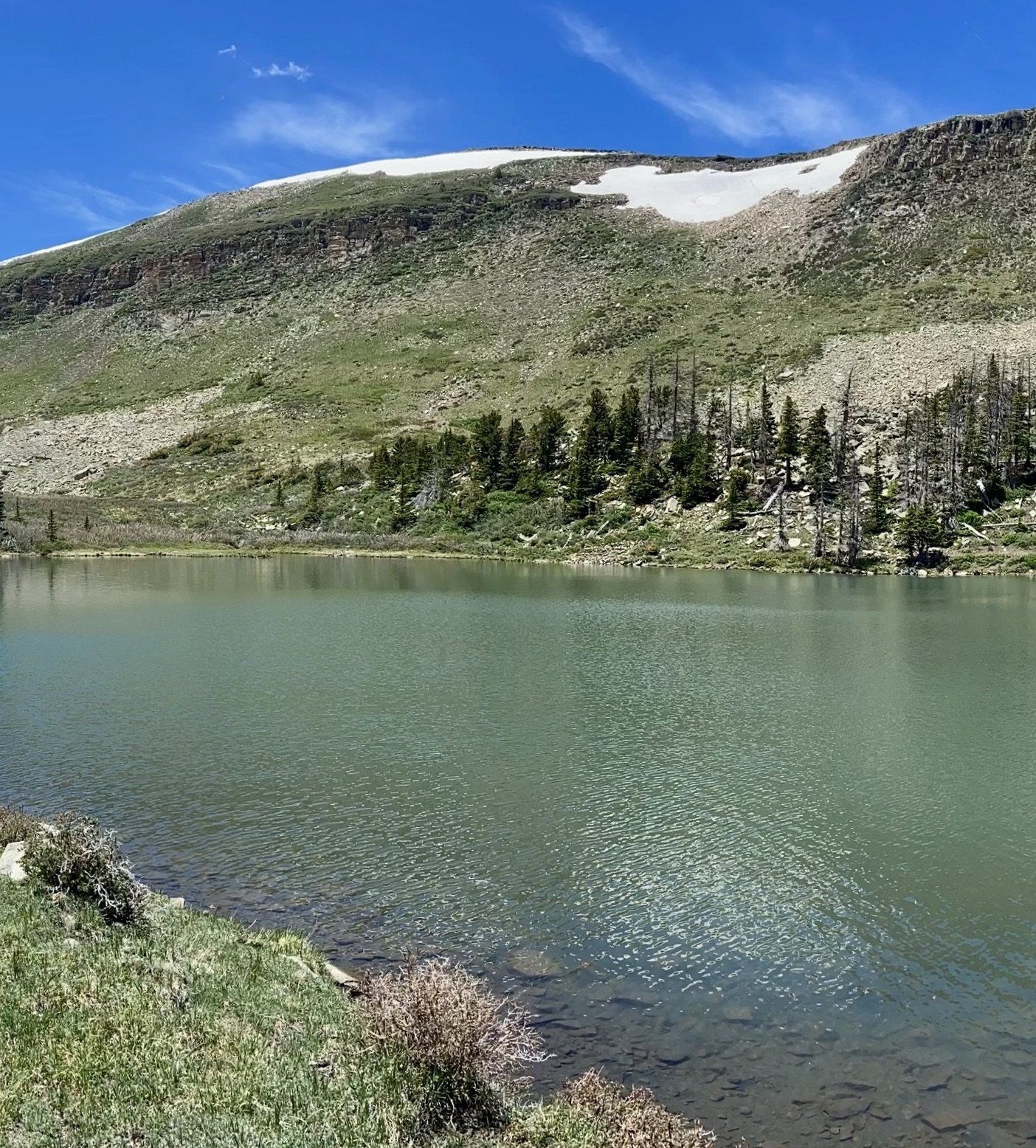 (FULL) Volunteer with NM Wild Rangers: Hermit’s Peak-Calf Canyon Trail Project – North Fork