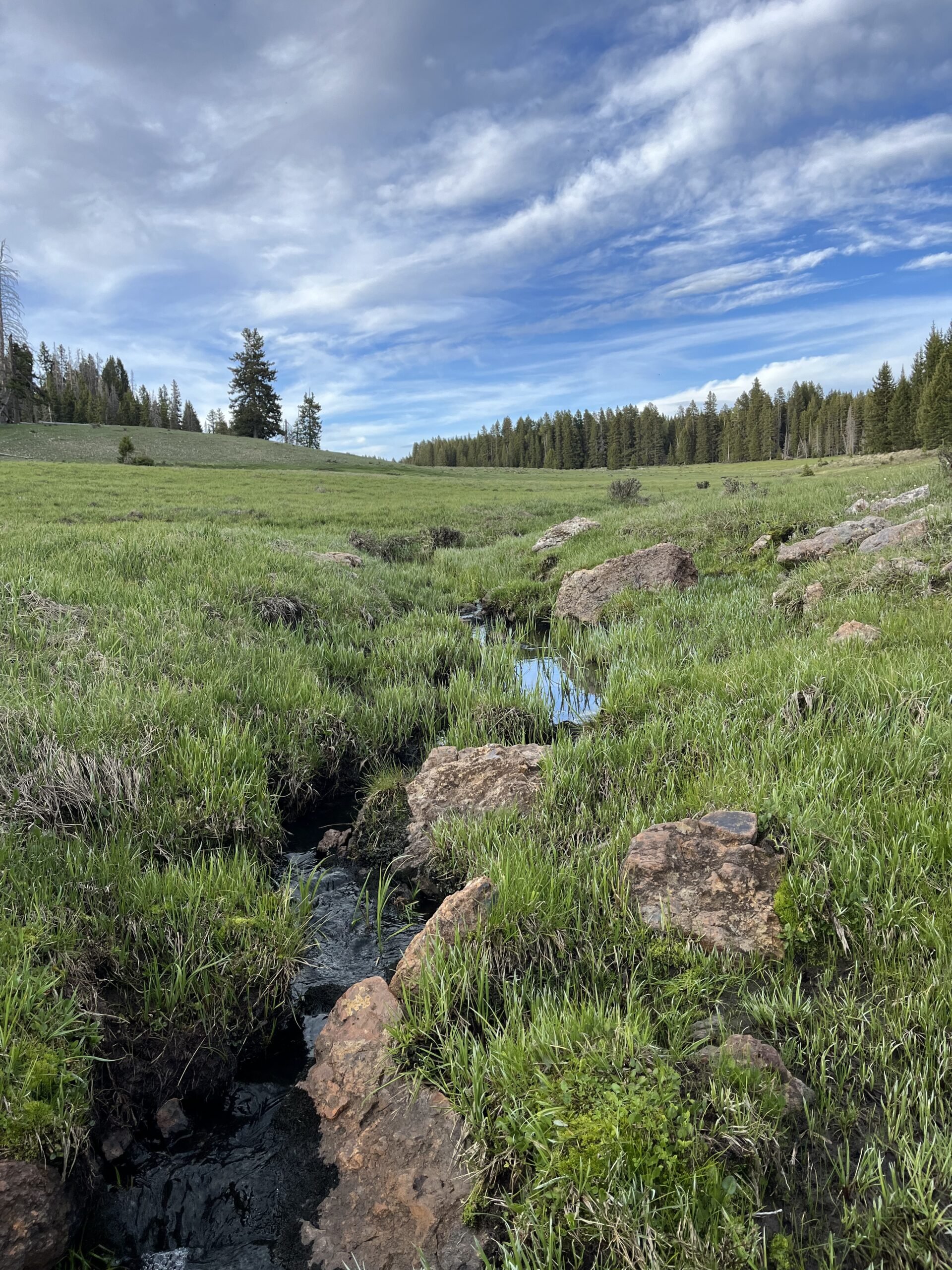 Volunteer with NM Wild Rangers: San Pedro Parks Trail Project – Part 1/2: Peñas Negras