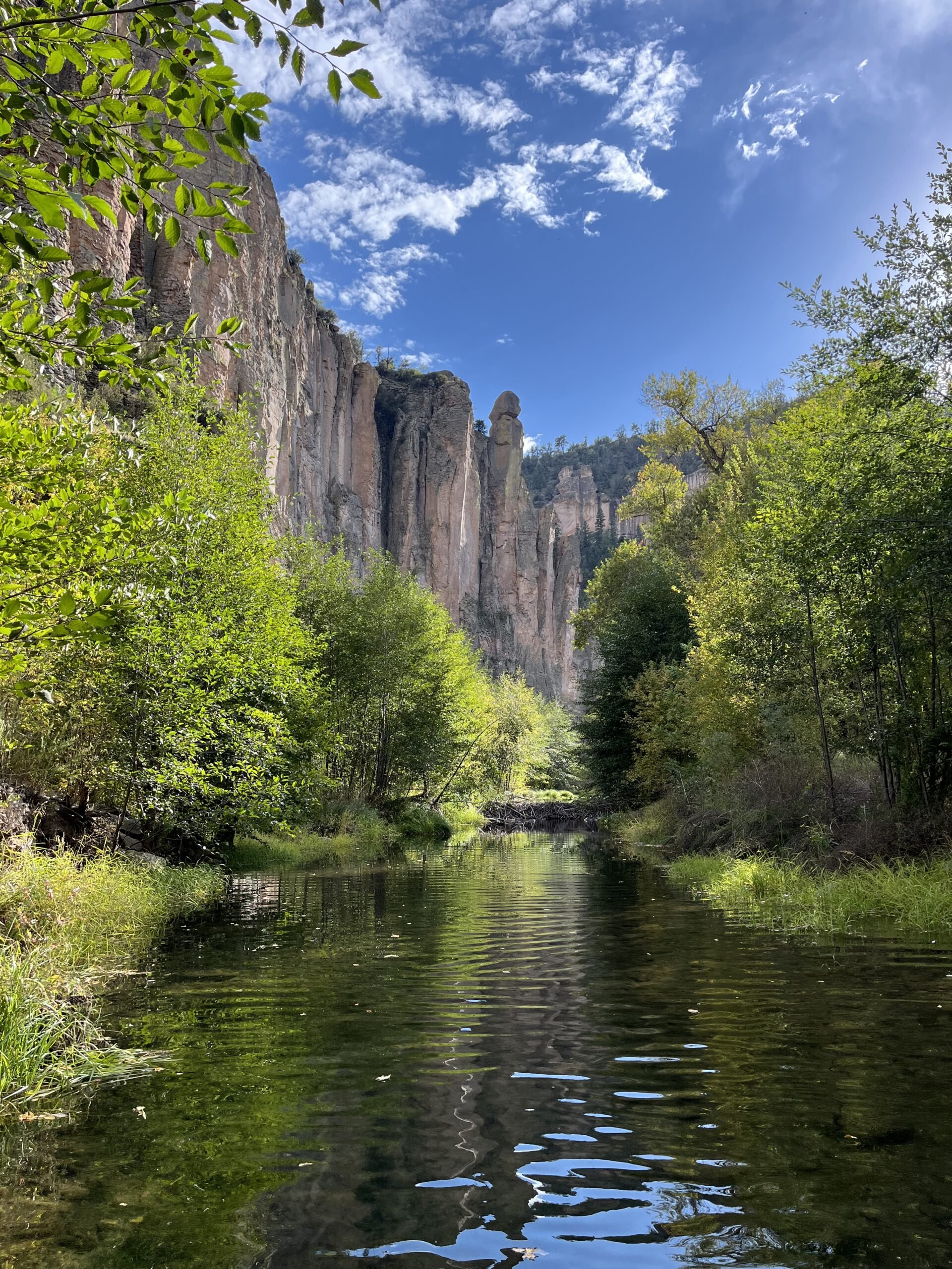 (FULL) Volunteer with NM Wild Rangers: Gila Middle Fork & Jordan Hot Springs Habitat Restoration Project
