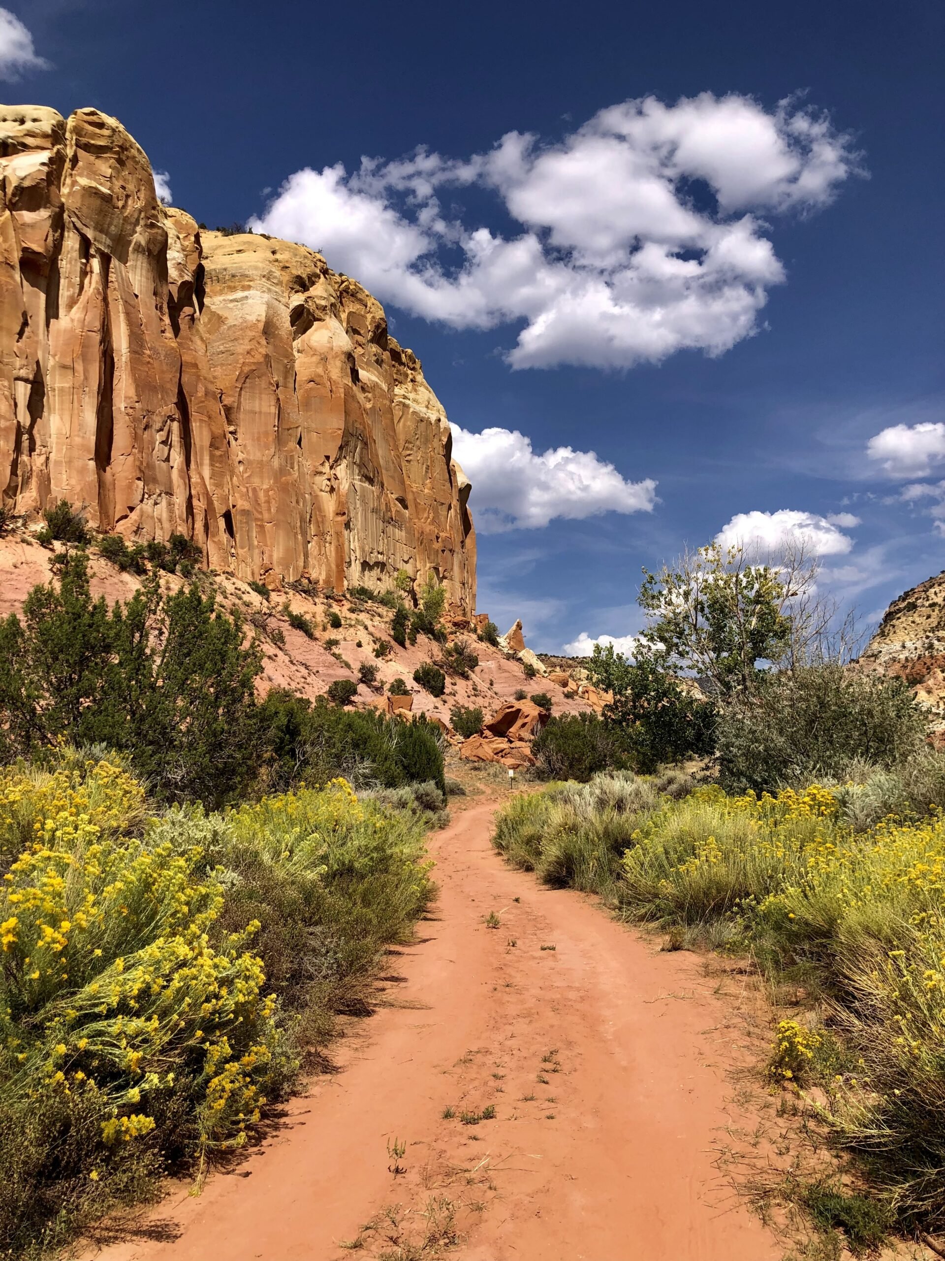 Wilderness Defender Outing: Box Canyon/Yeso Trail – Ghost Ranch