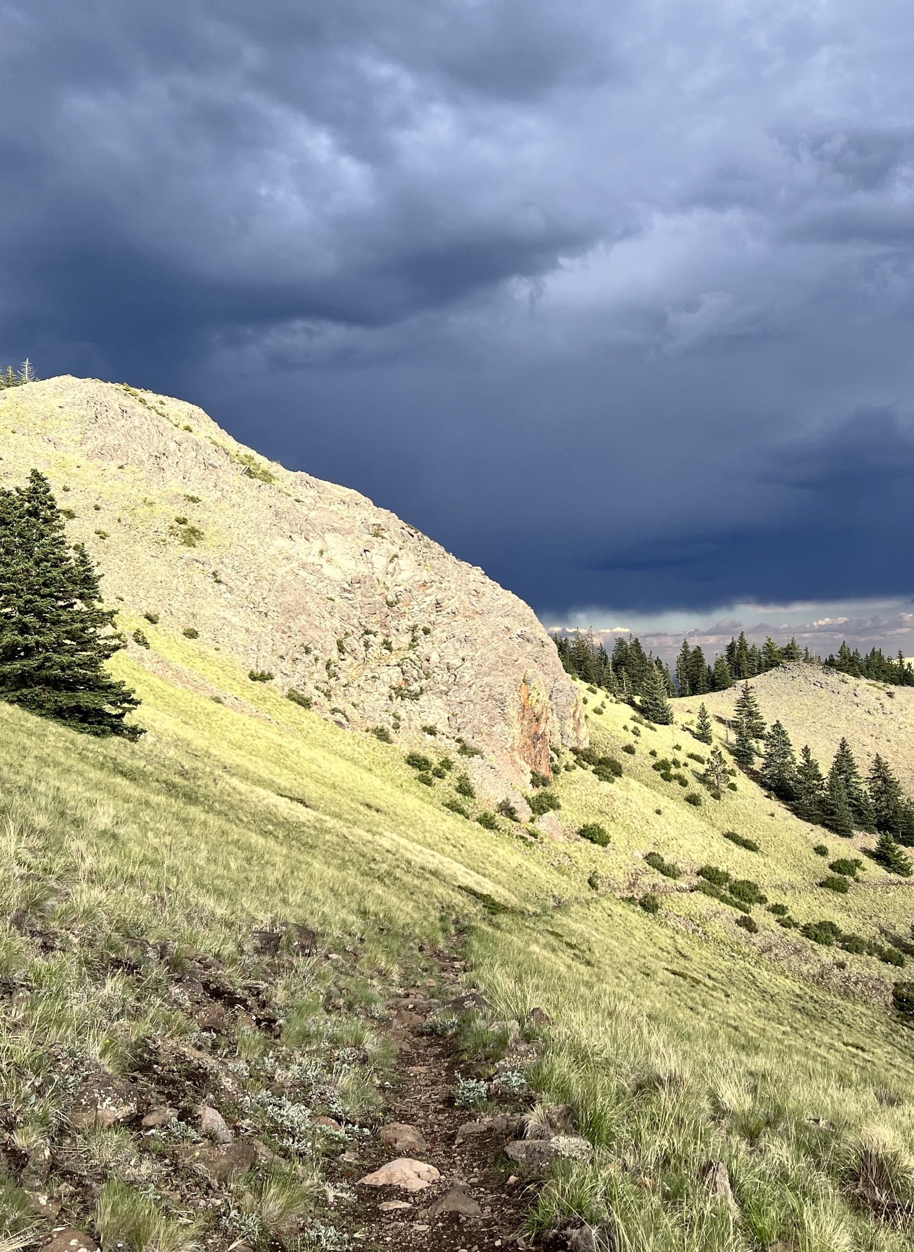 Wilderness Defender Outing: Gooseberry Trail – Mt. Taylor