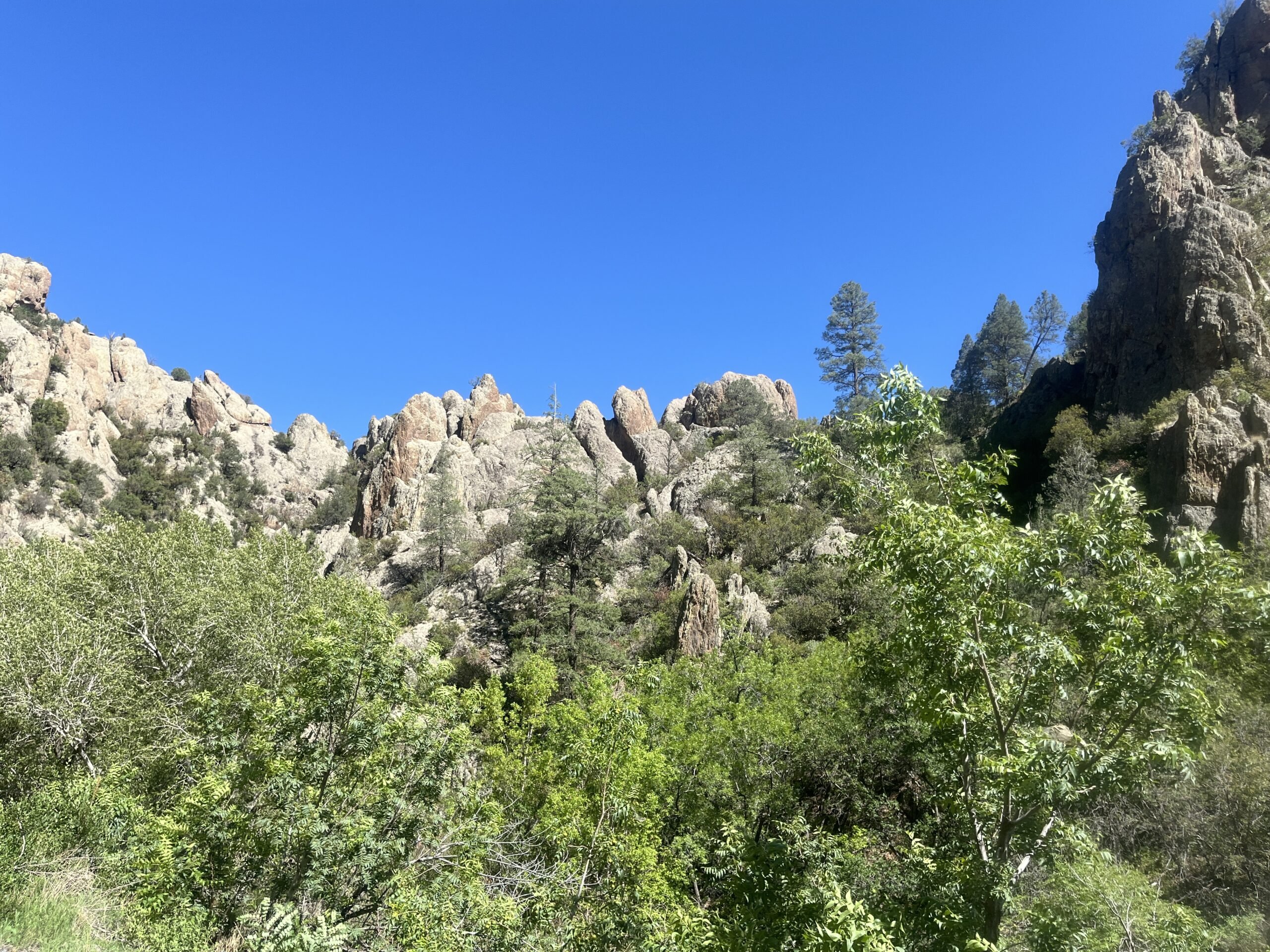 Roadless Area Hike in the Gila National Forest – Lower Gallinas Canyon