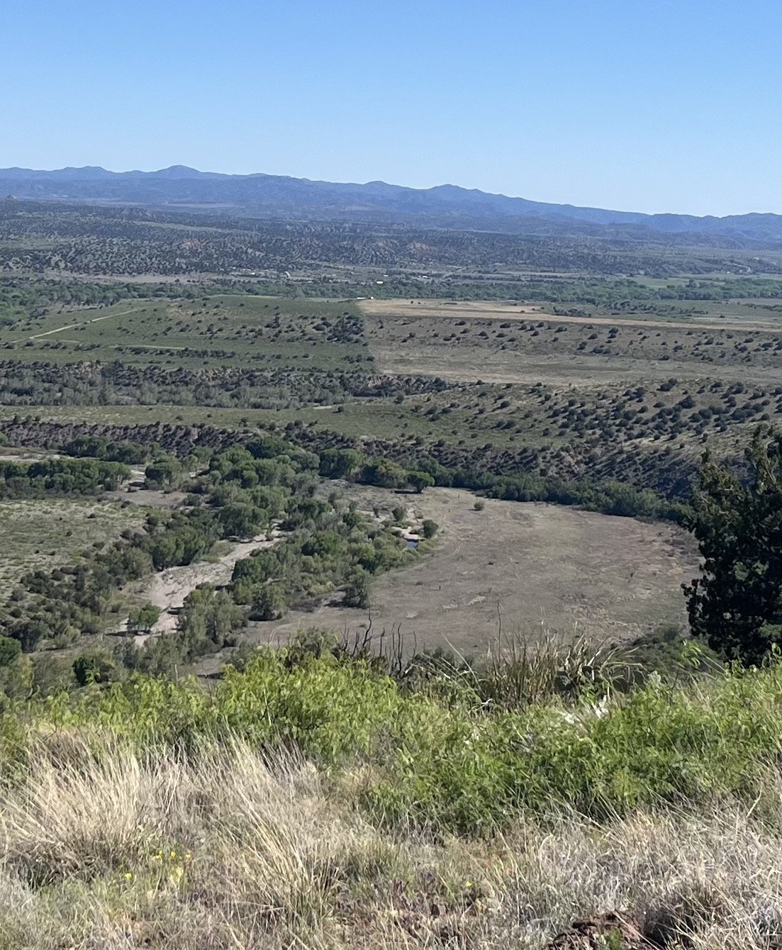 Public Lands Grazing: Past, Present, and Future