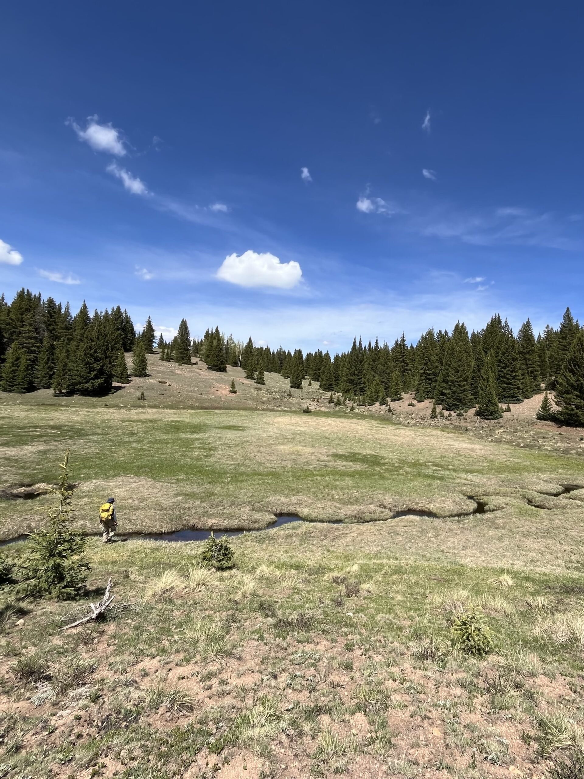 Volunteer with NM Wild Rangers: San Pedro Parks – Lucero Trail Project