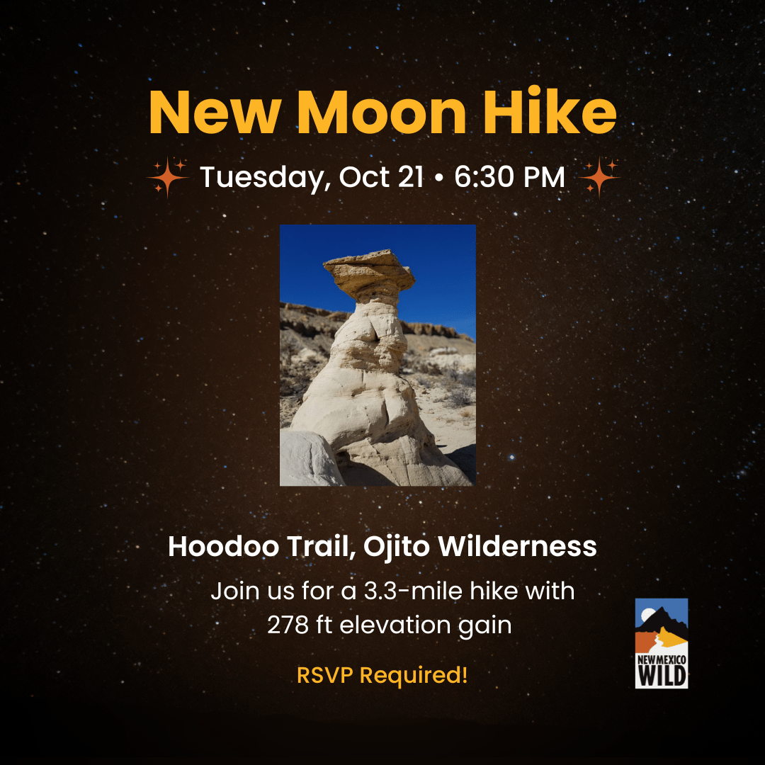 New Moon Hike