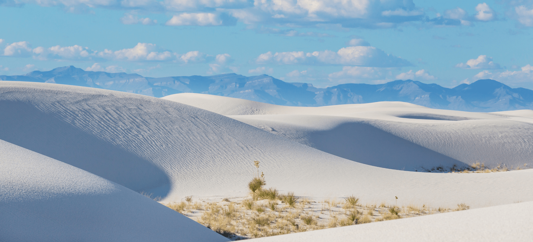 PRESS STATEMENT: New Mexico Wild Statement on Sen. Mike Lee’s proposal to allow selling off national parks