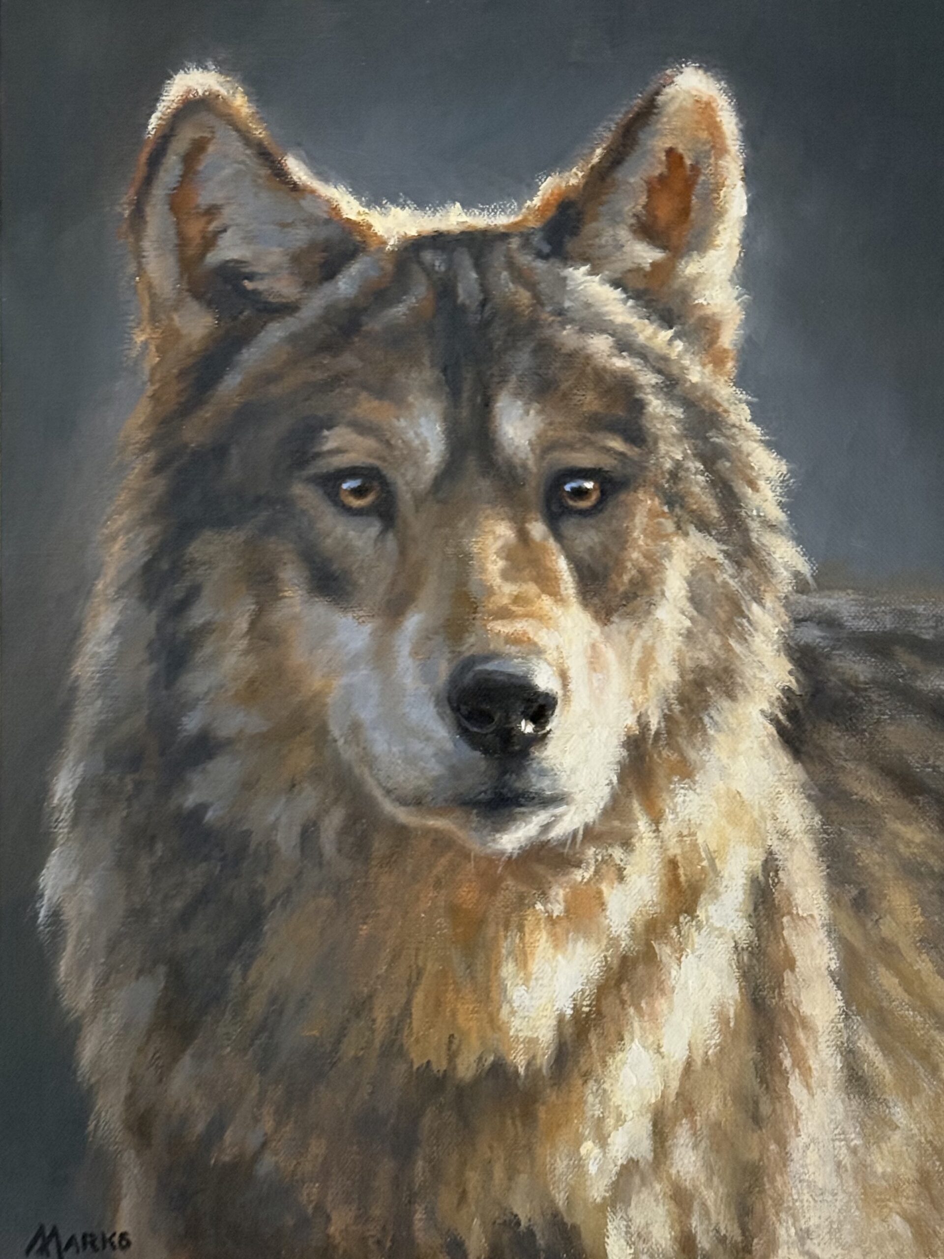 2026 Wolf Stamp Artists | New Mexico Wild